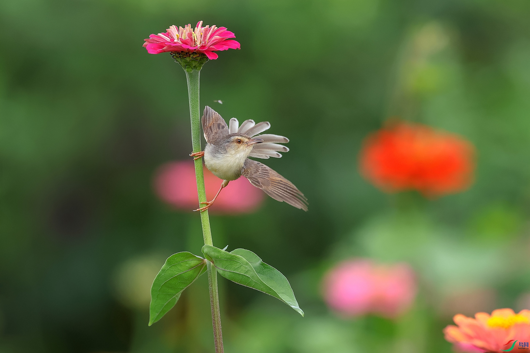 0E2A6579_����.jpg