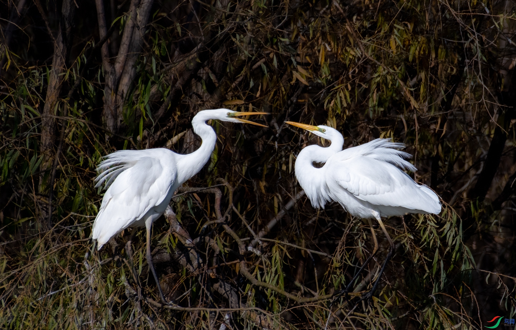 DSC_1791.jpg