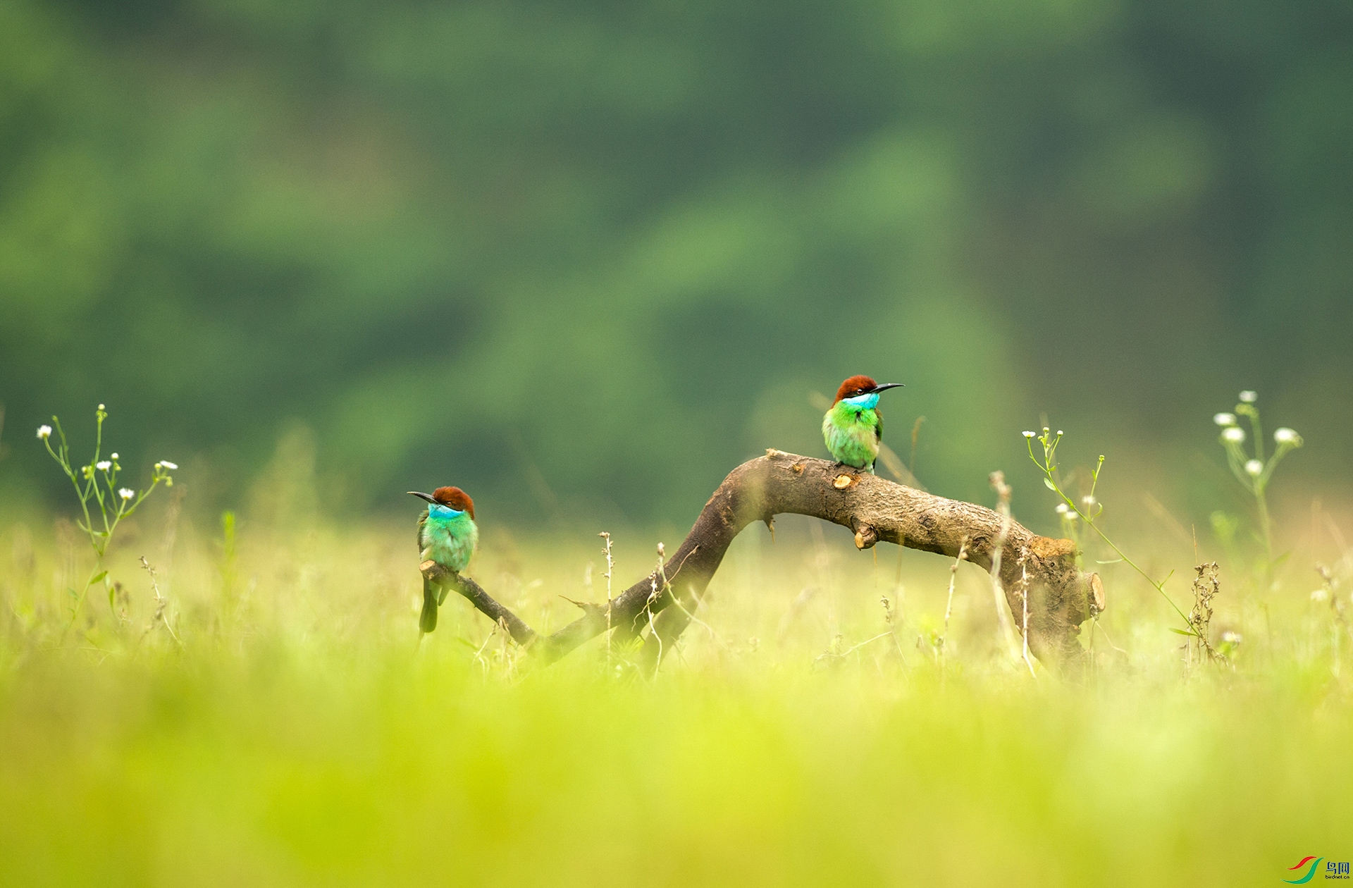 DSC_4674-1.jpg
