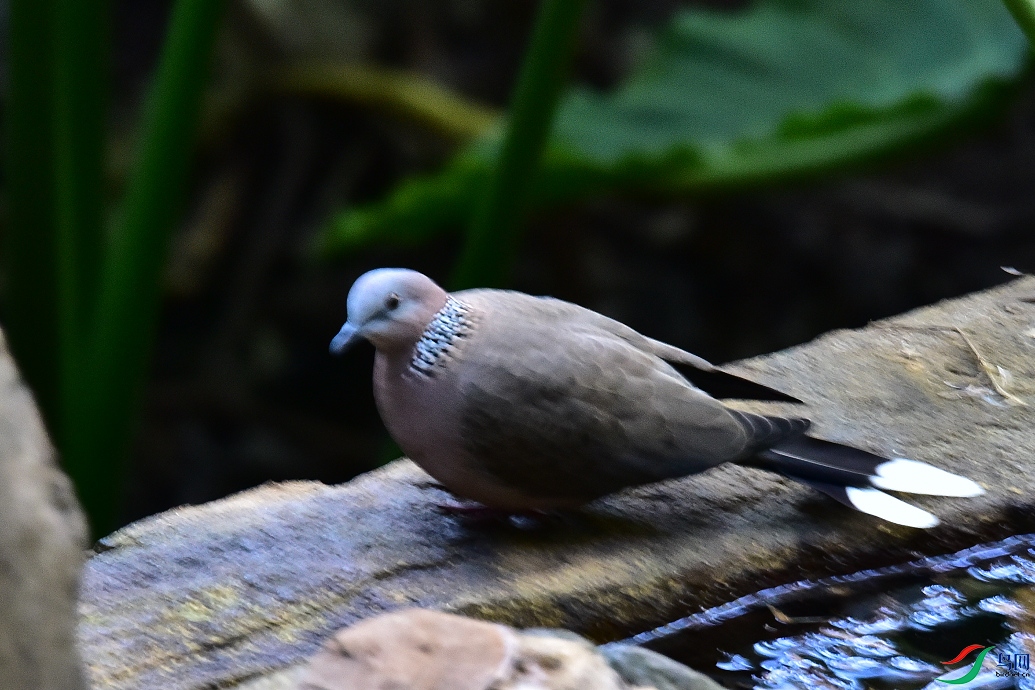 DSC_8872.JPG
