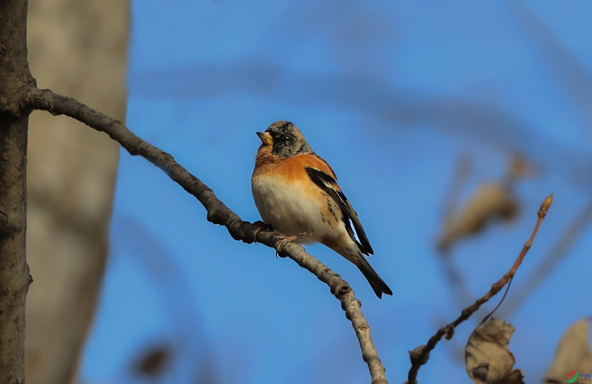 7X5A6830 - ����.JPG