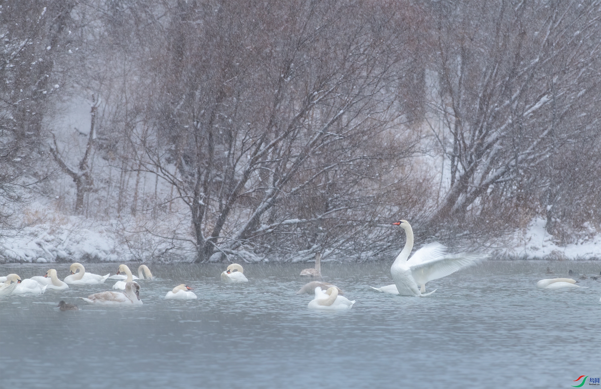 DSC_7718-11.jpg