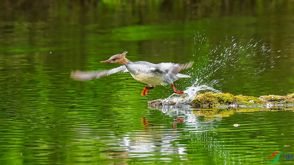 jlmjR230605 (1627)_DxO.jpg