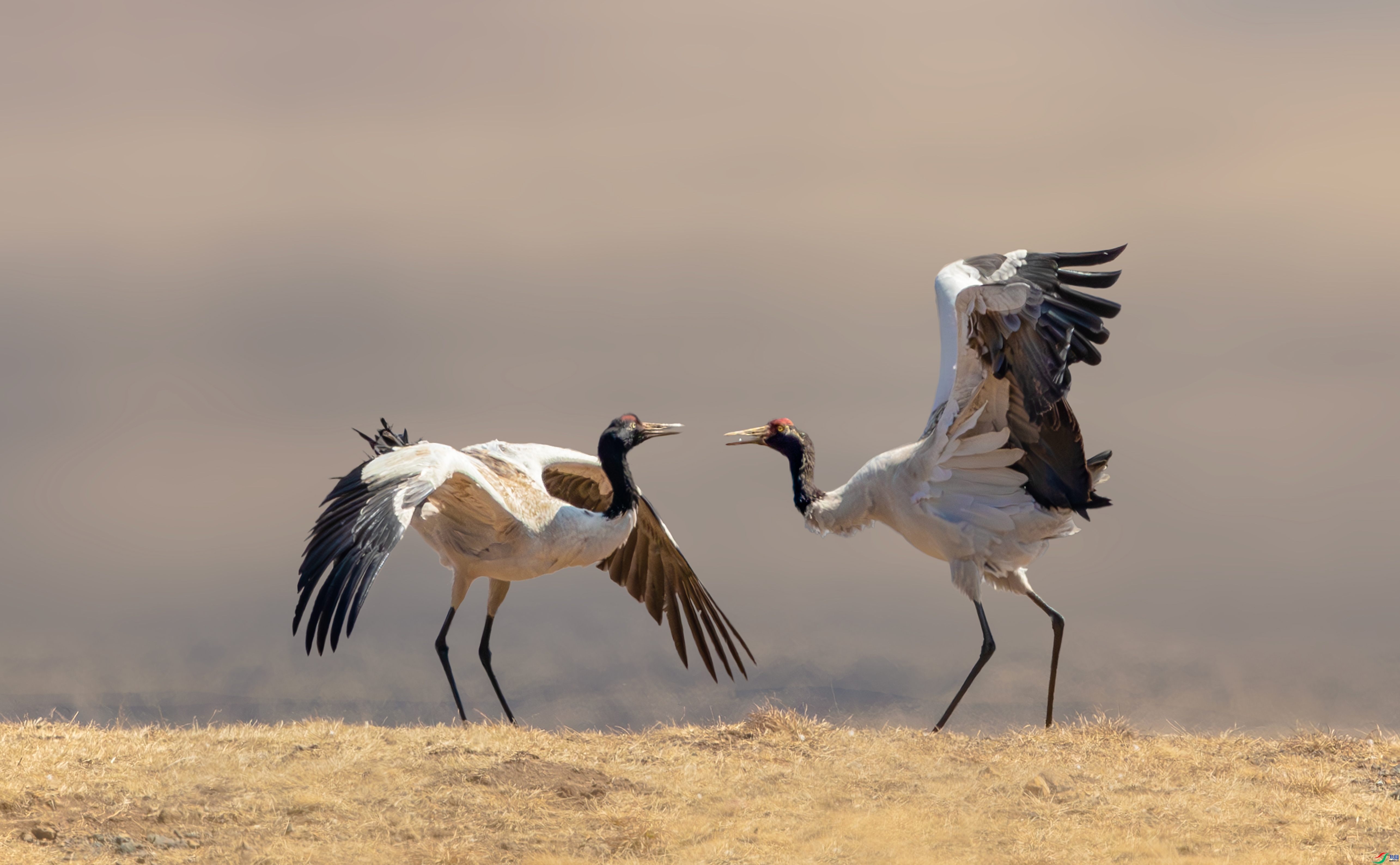 20231031���������á����� ��������.jpg