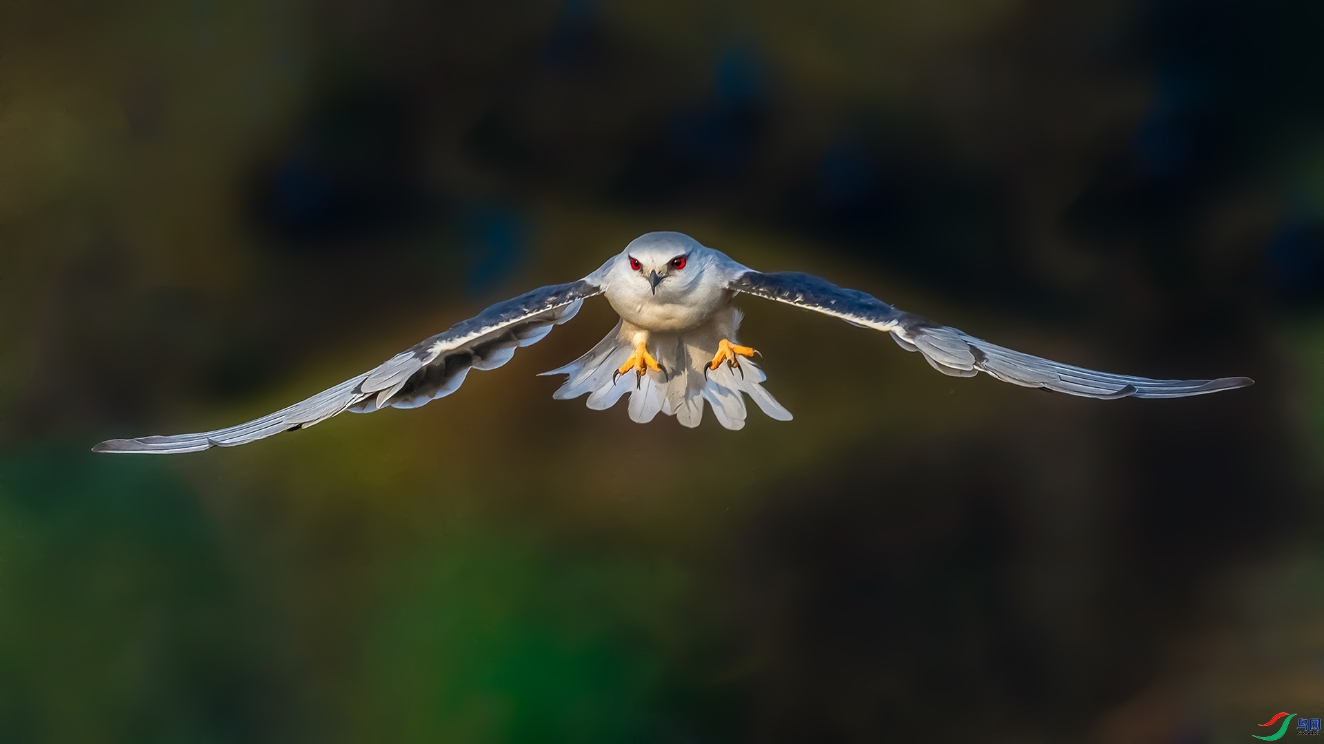 20231031���ڳ�𰡷������ ÿ�ռ���.jpg