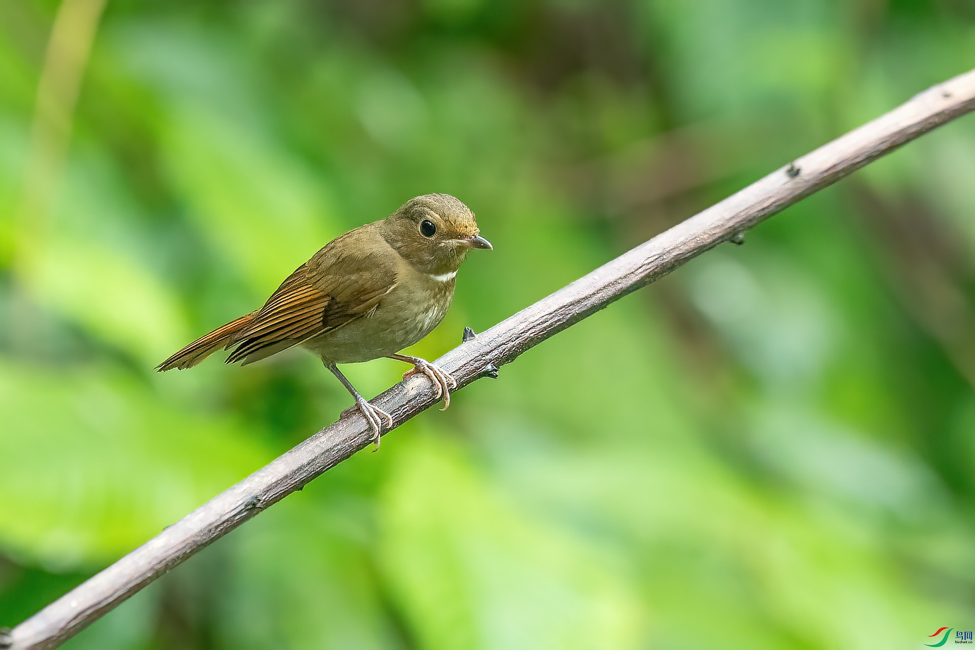 DSC_1073.jpg