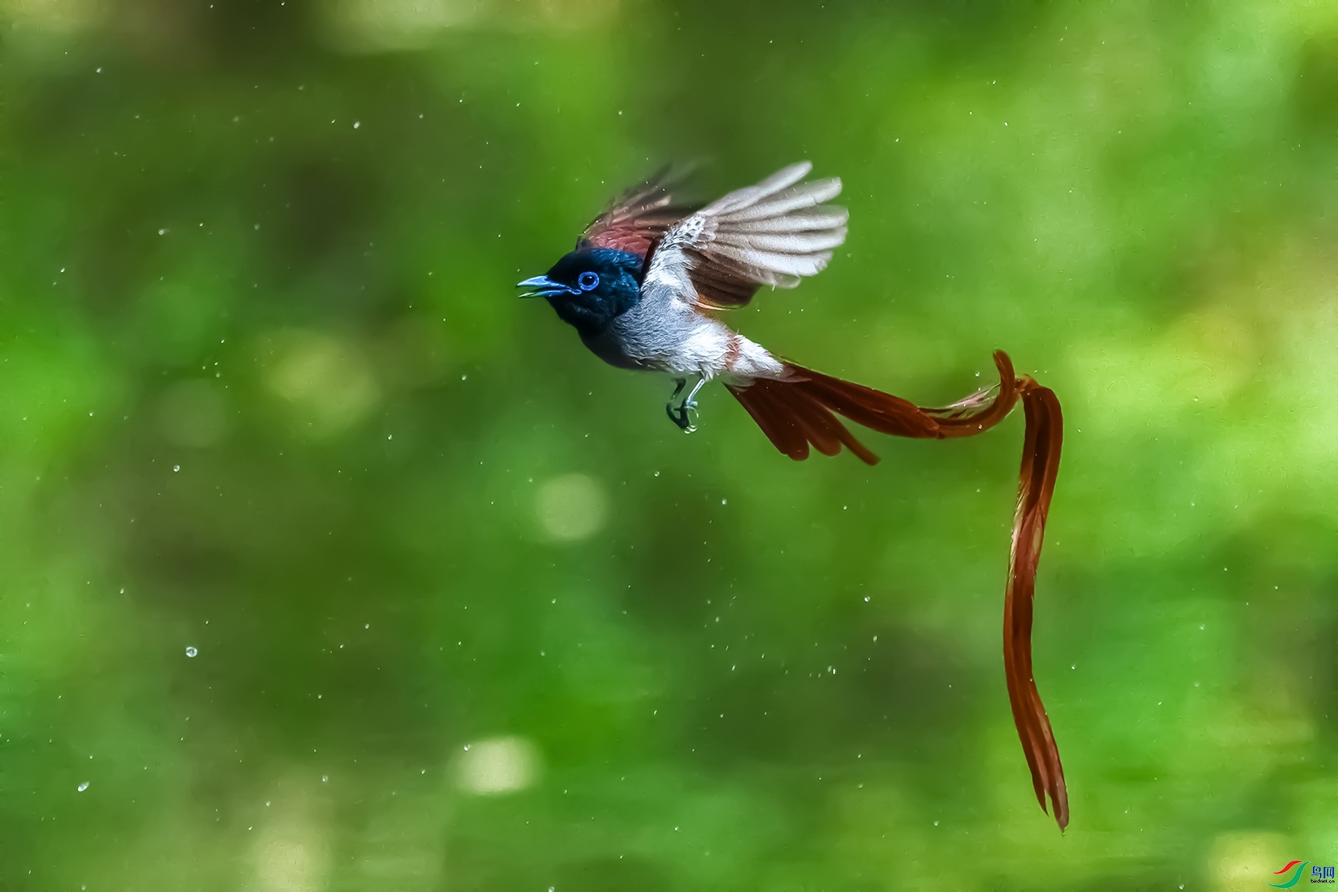 20231101��練��������� ��Ա����.jpg