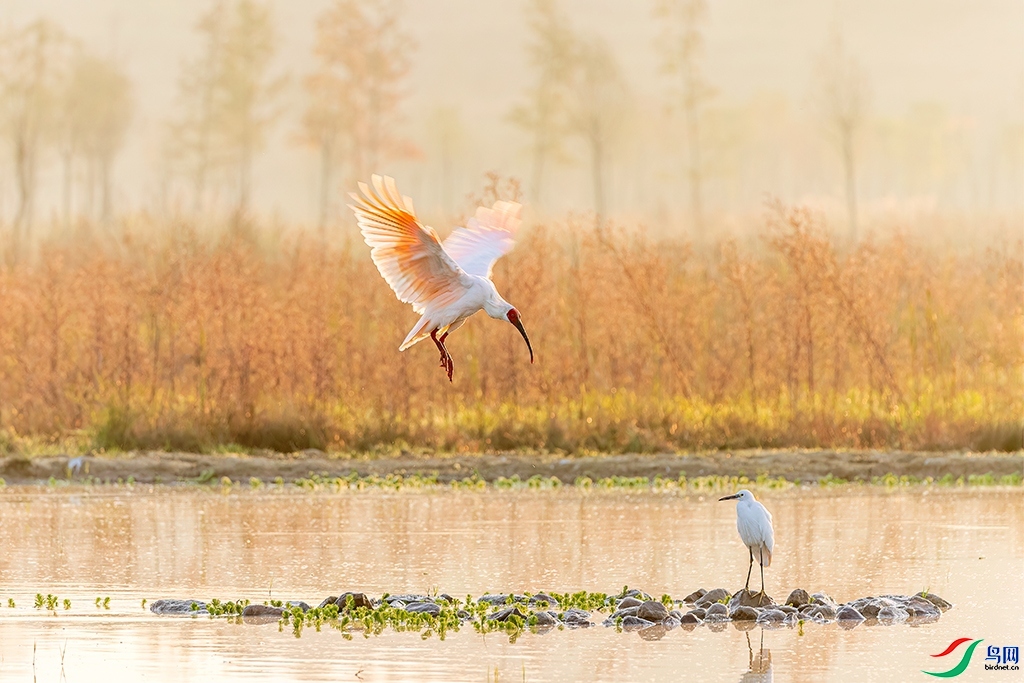 20231103����ϼ˫�ء�������ʿ �������.jpg