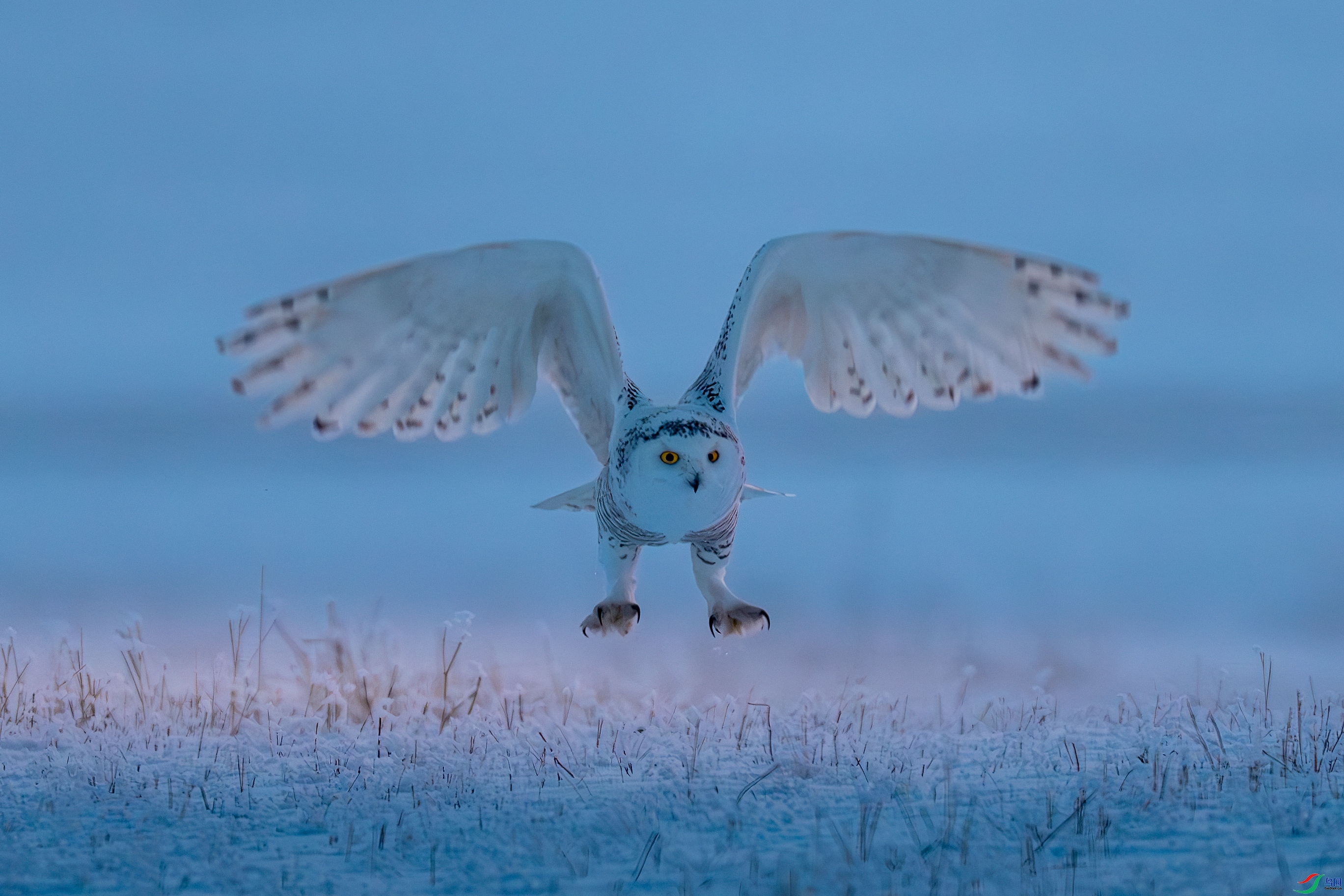 20231104��ѩ�^����Ϳ�ֺ�Ϳ ��Ӱʦ���� .jpg