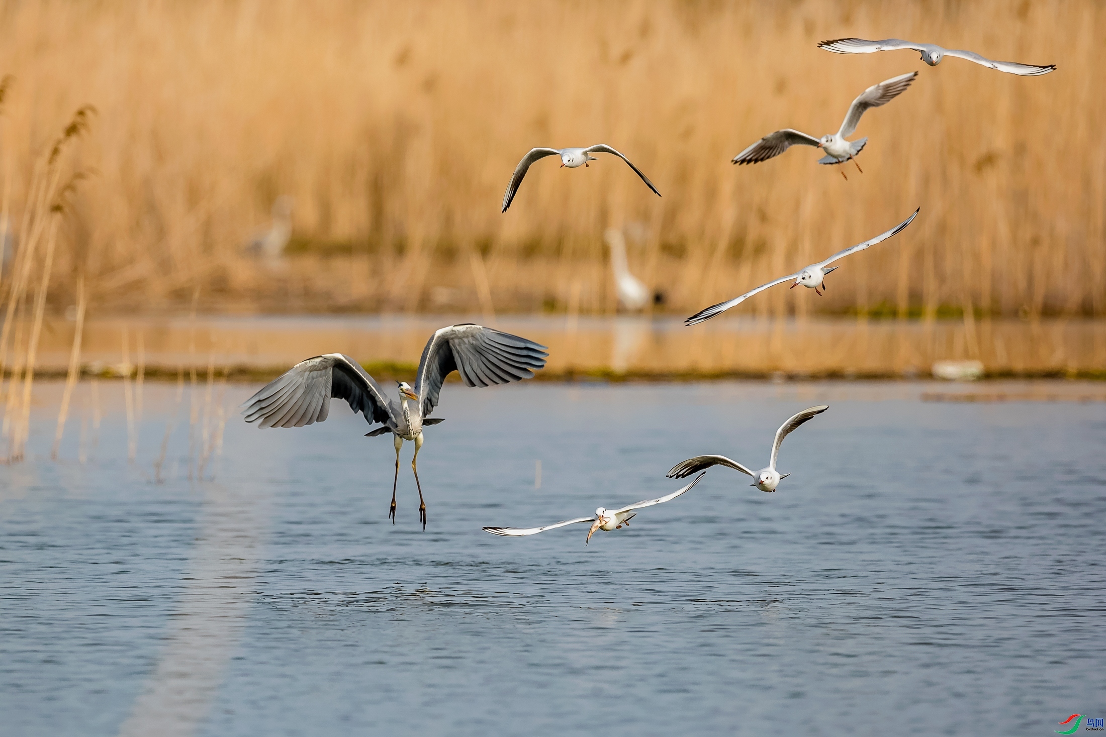 20231106��׷�㡷ʯͷ�� �������.jpg