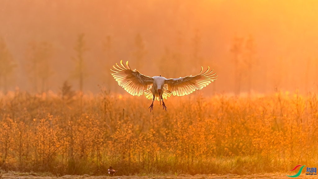 20231109���������䡷������ʿ ��Ա���� .jpg