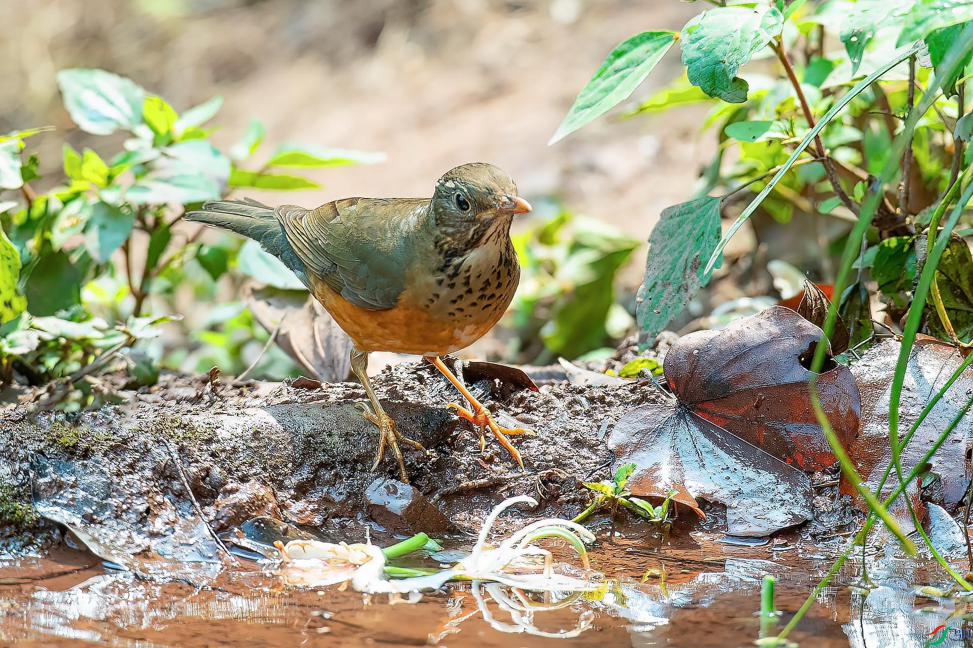DSC_5421.jpg