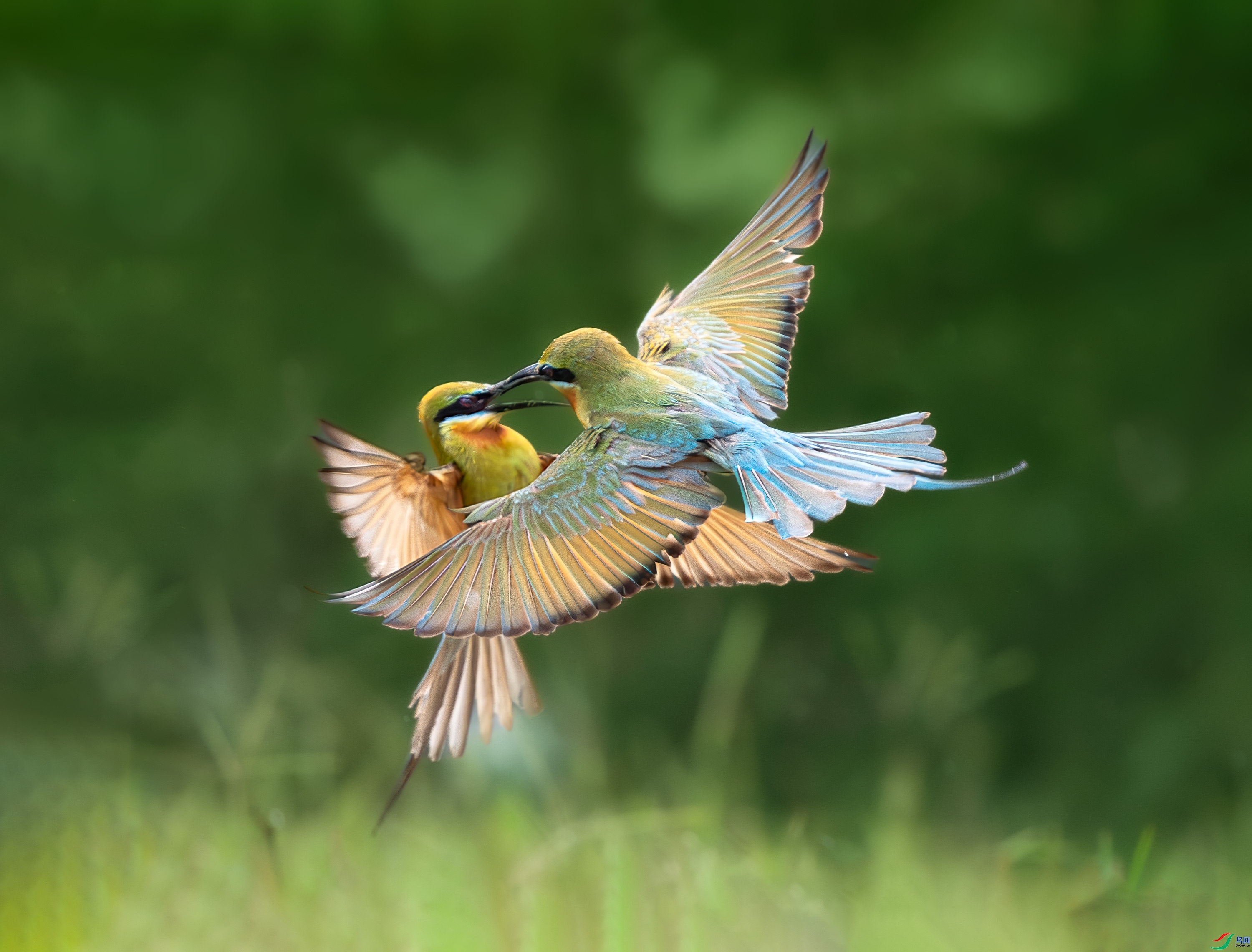 20231110�����ǡ� baoshengshi ��Ա����.jpg