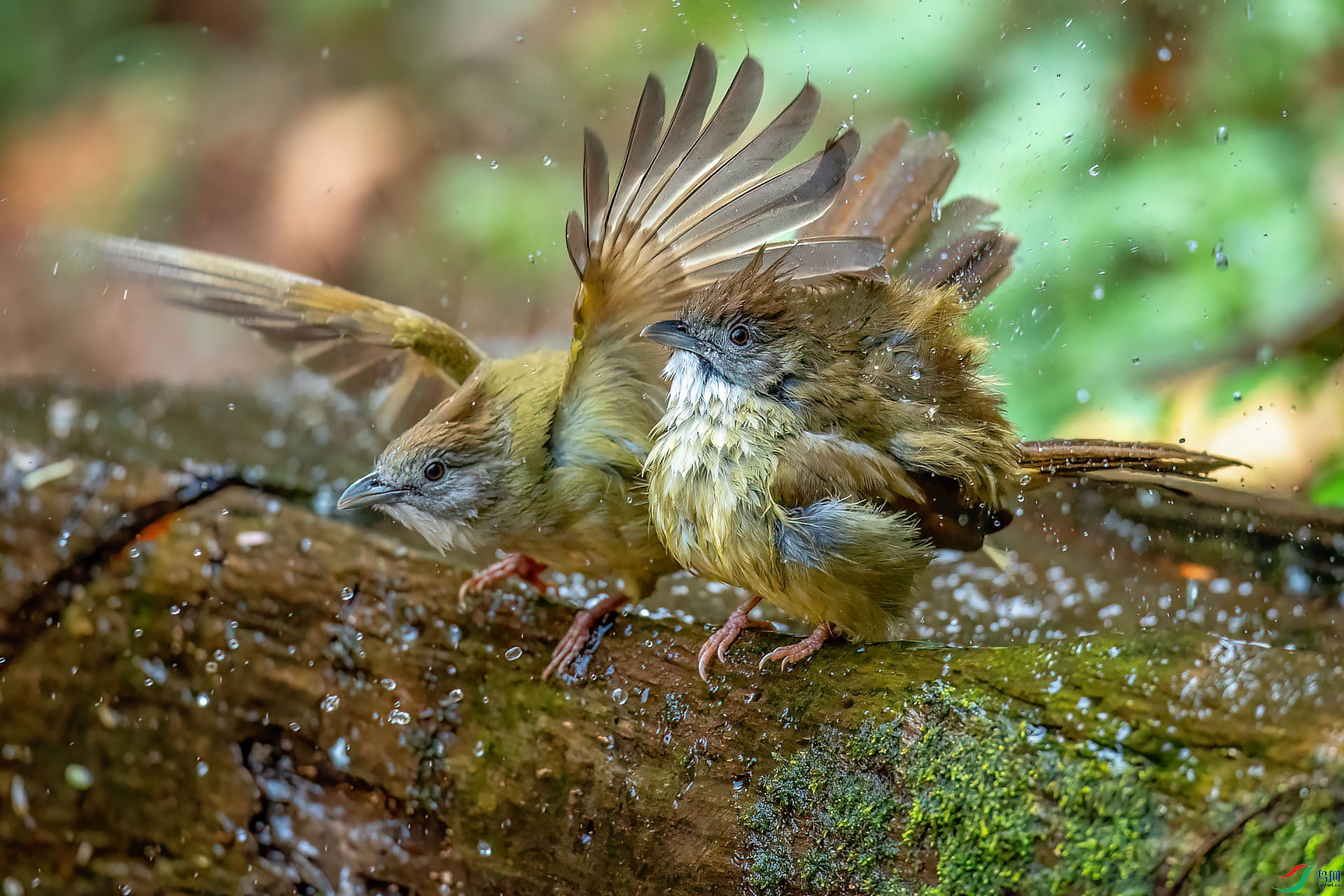 DSC_6516.jpg