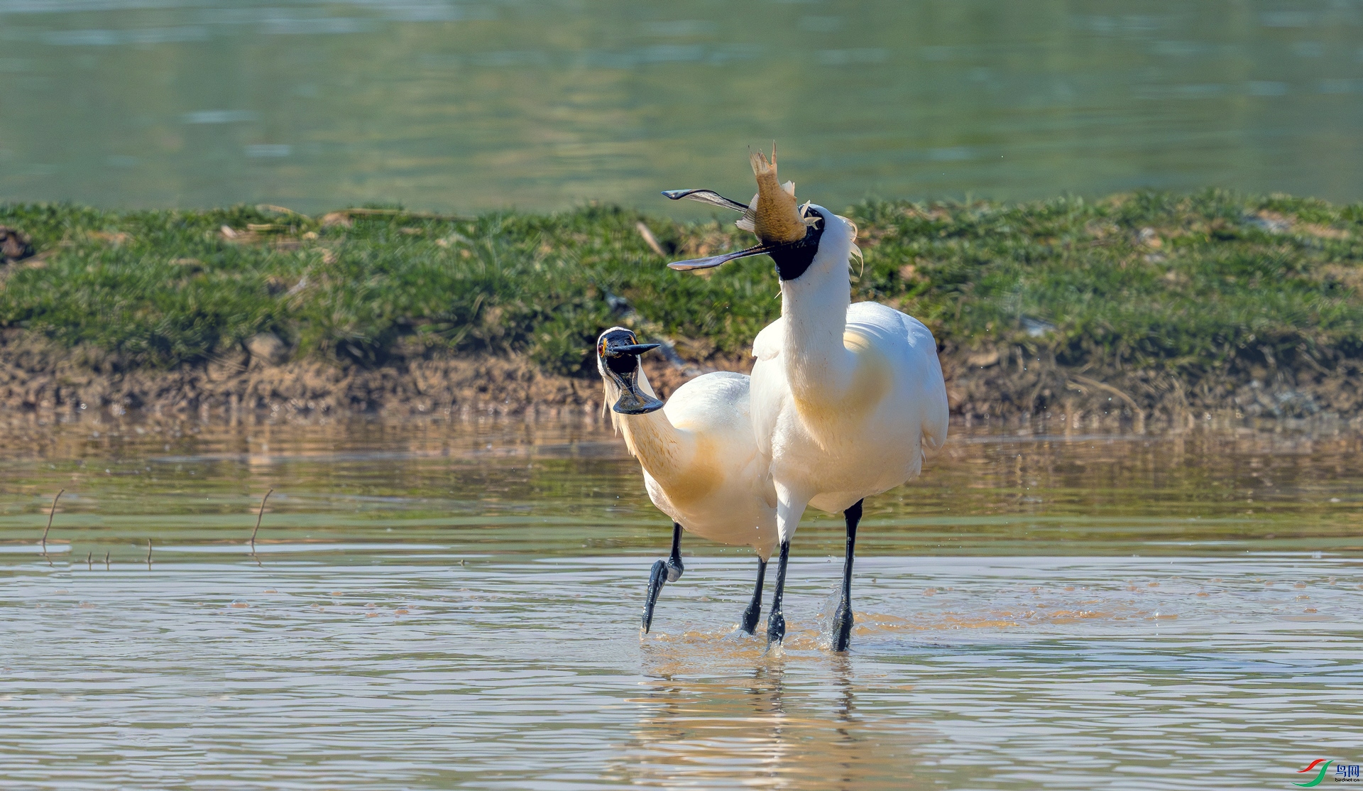 DSC_7815==1w.jpg