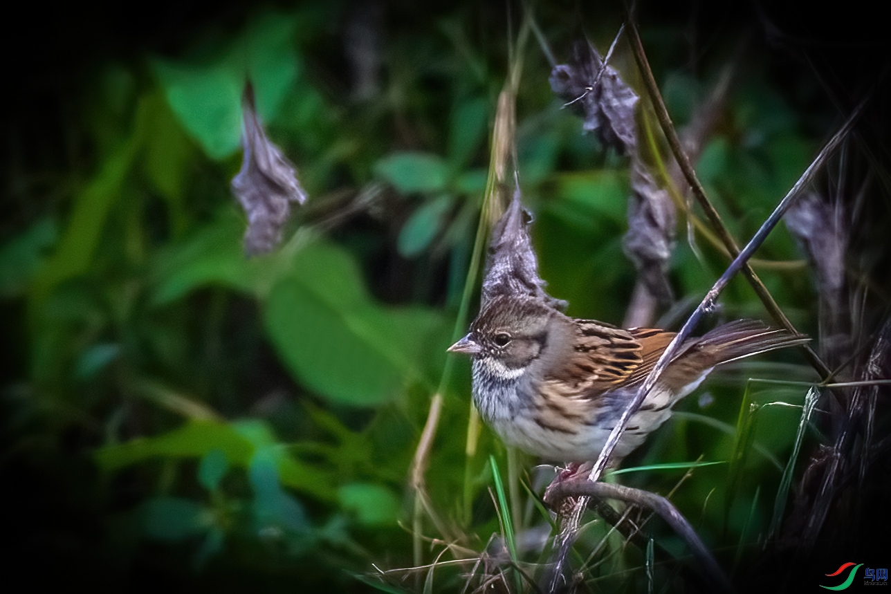 0M3A5629 ����.jpg