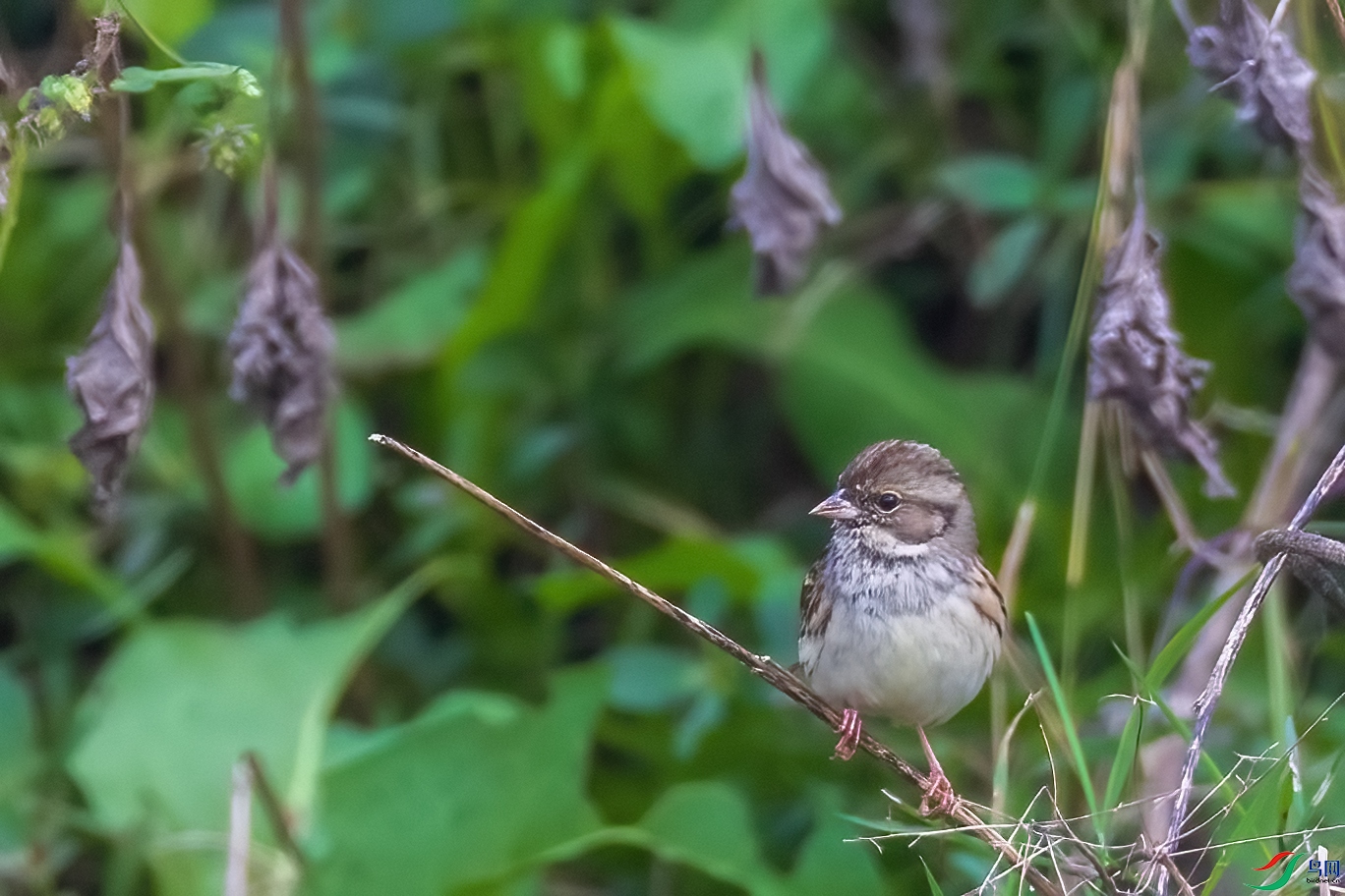 0M3A5635 ����.jpg