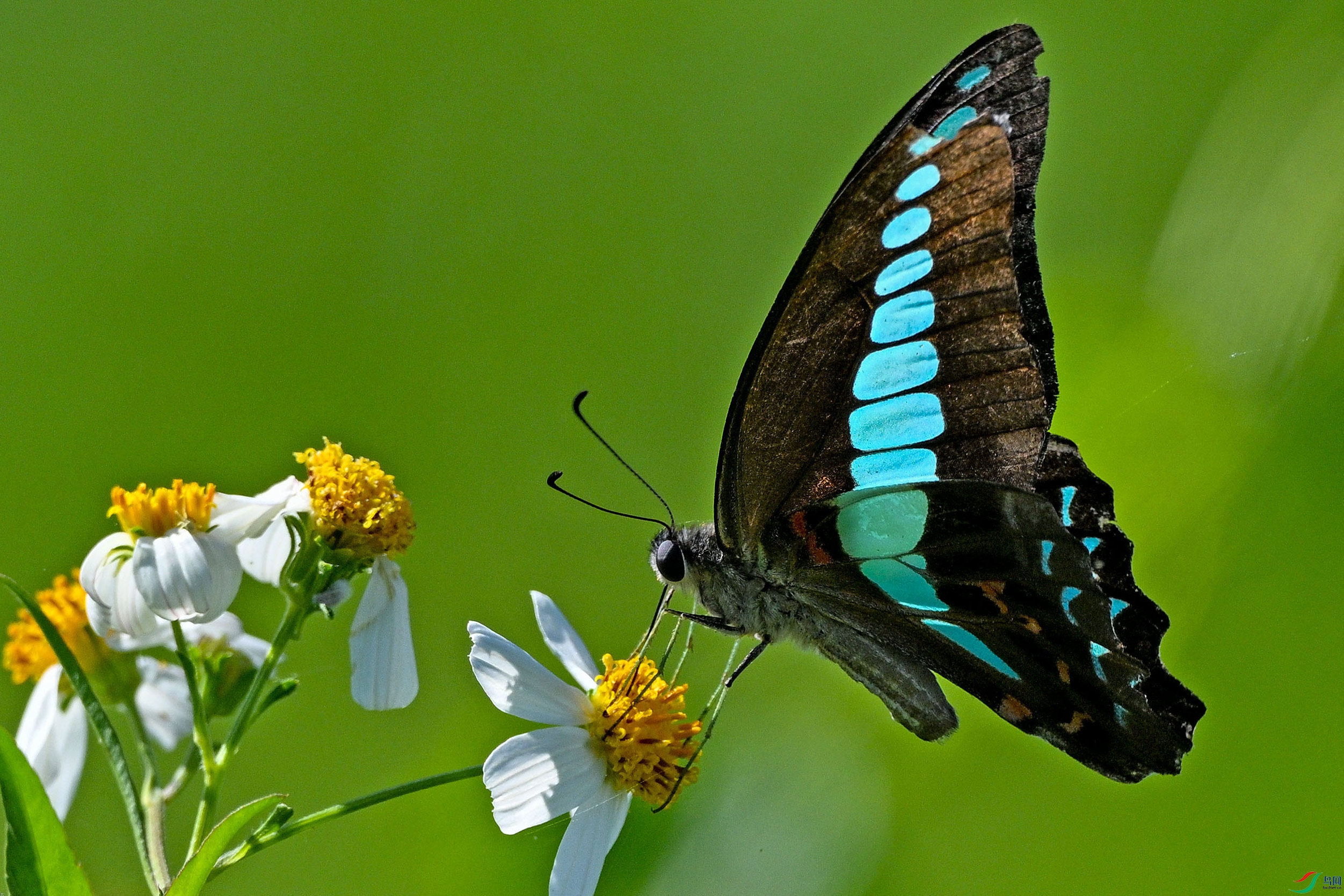z907��LPY_9384.jpg