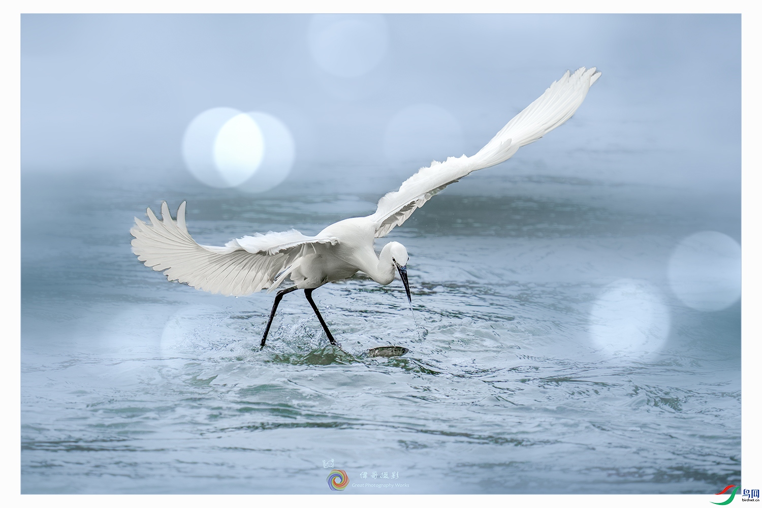 LZW01723-����ǿ-NR ����.jpg