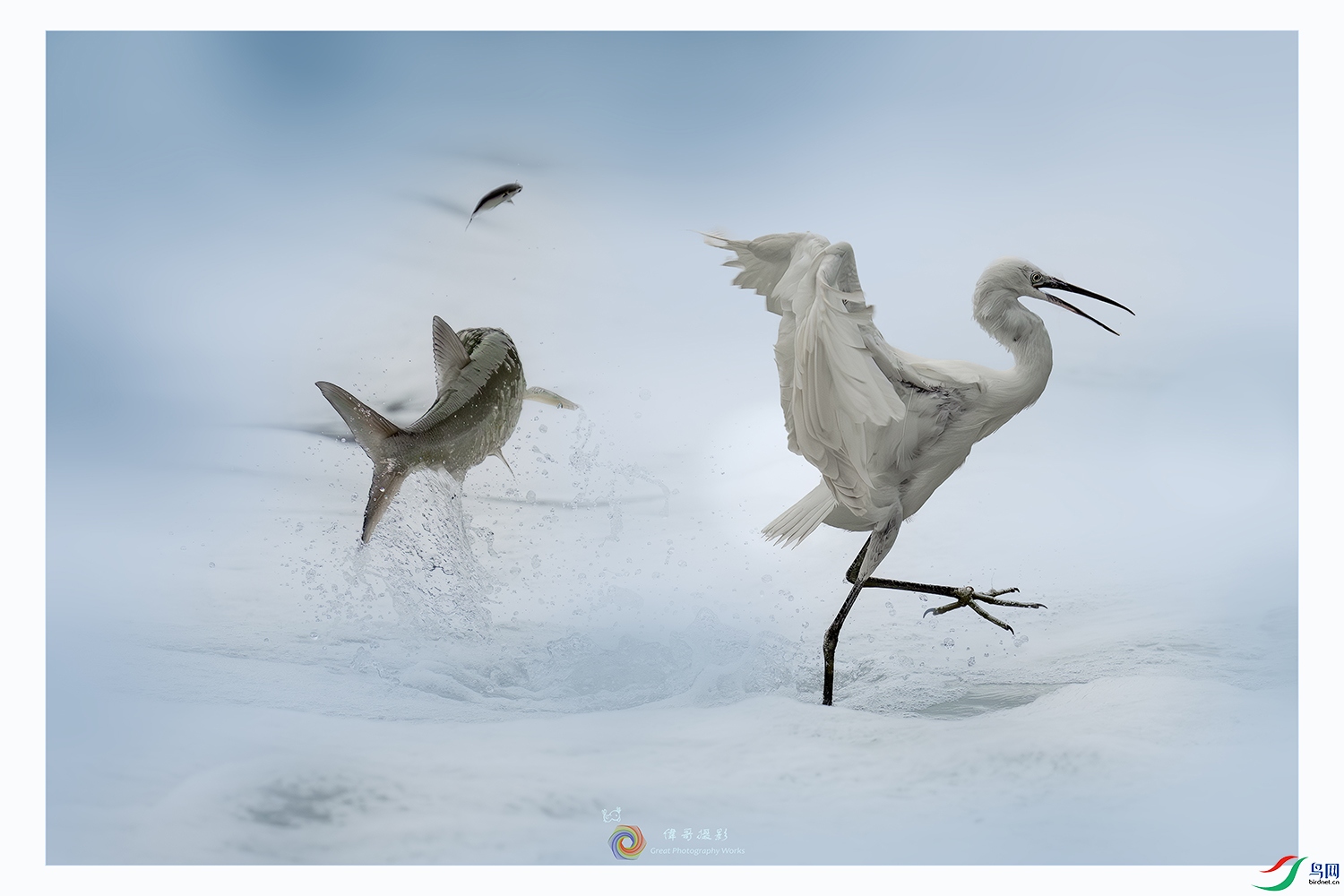 LZW00638-����ǿ-NR ���� 2.jpg