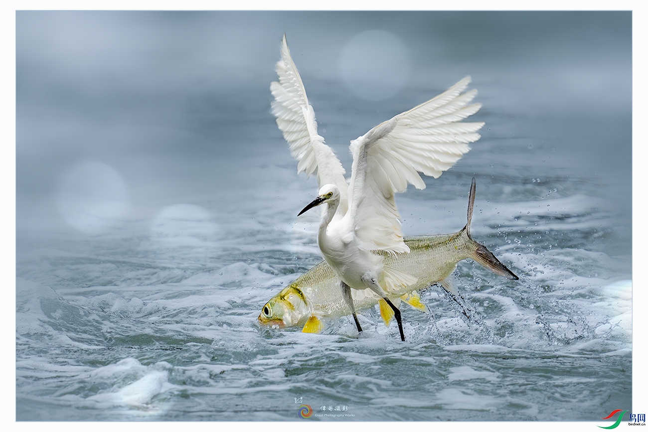 LZW04643-����ǿ-NR-1 ����.jpg