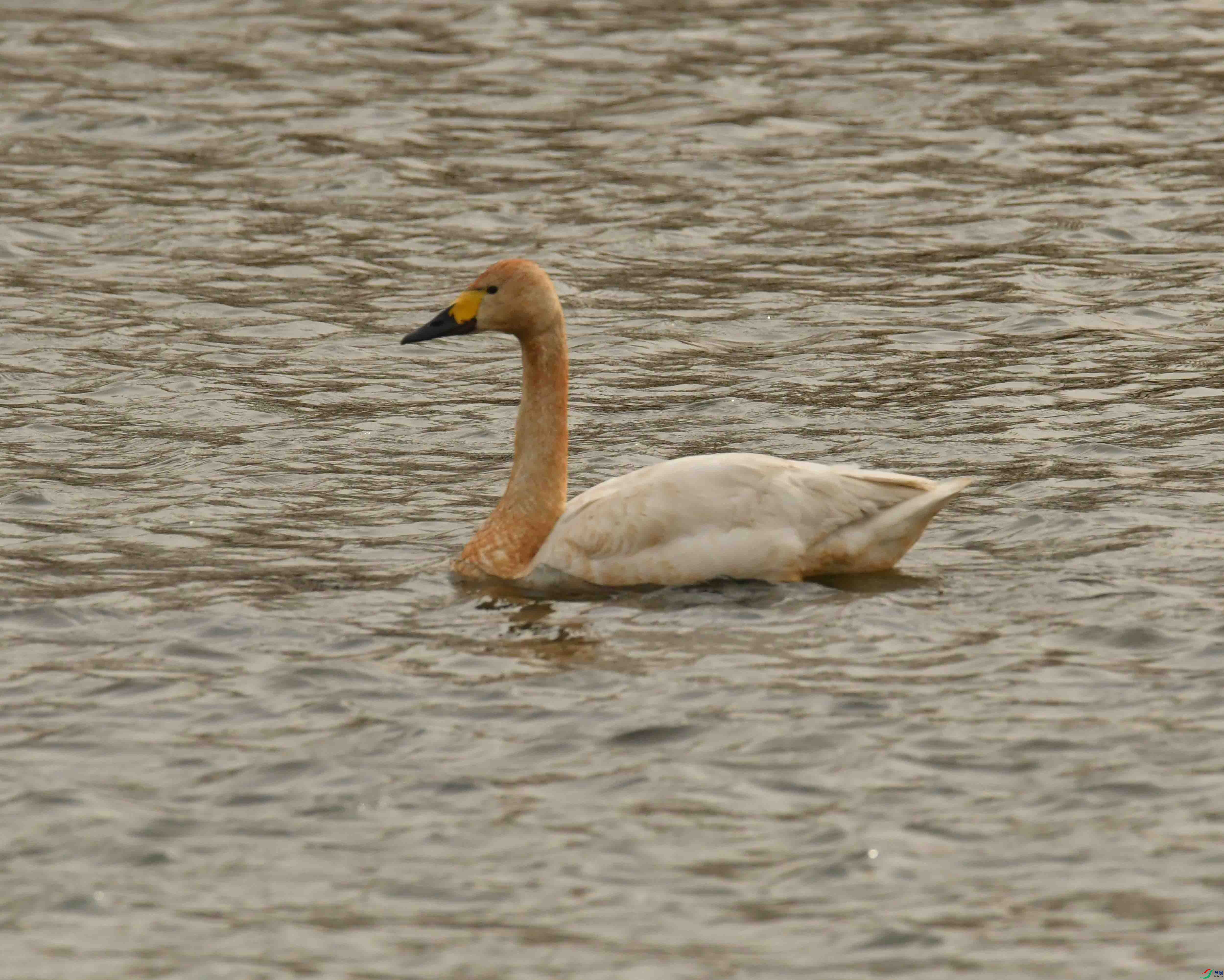 DSC_0607.JPG