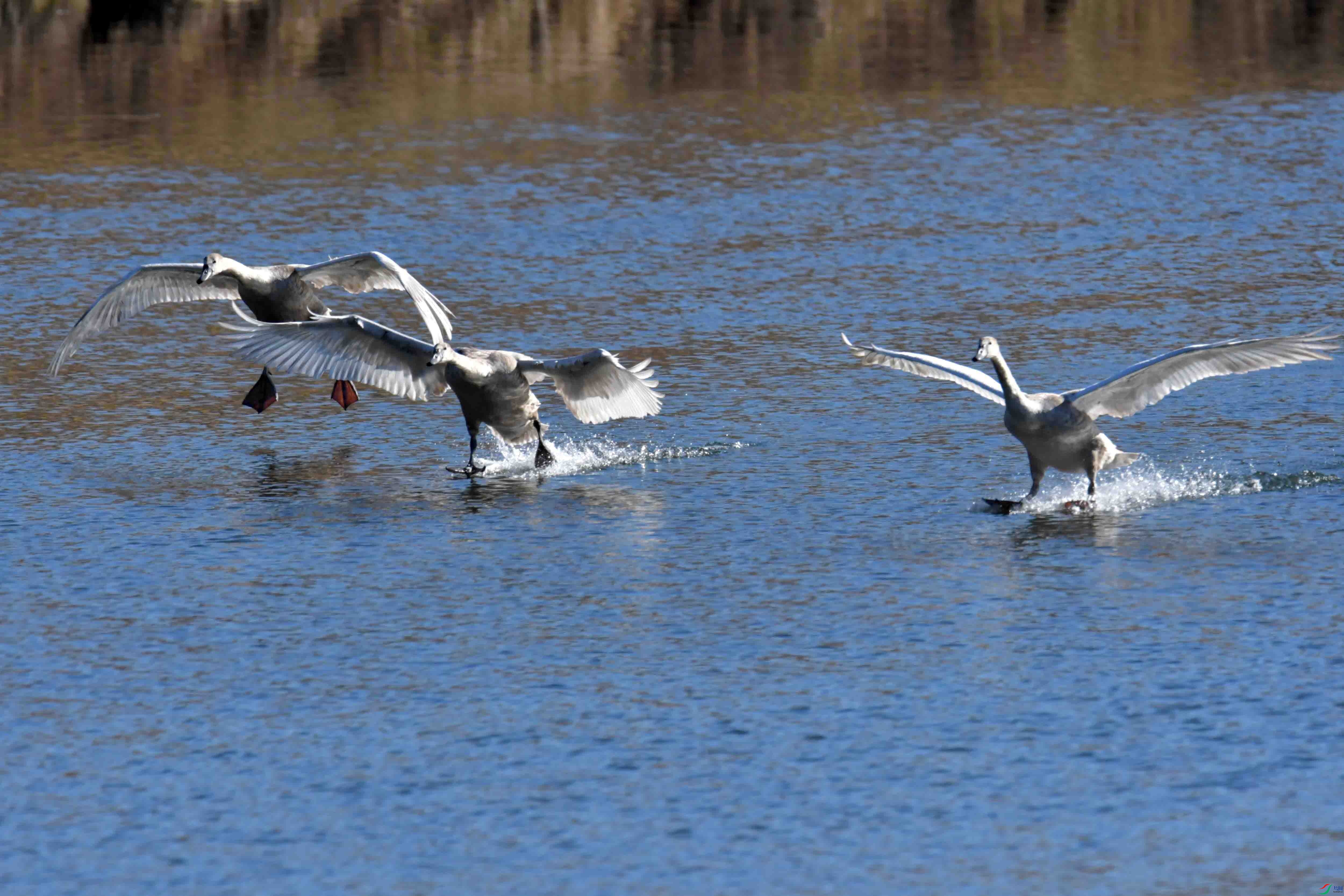 DSC_5413.JPG