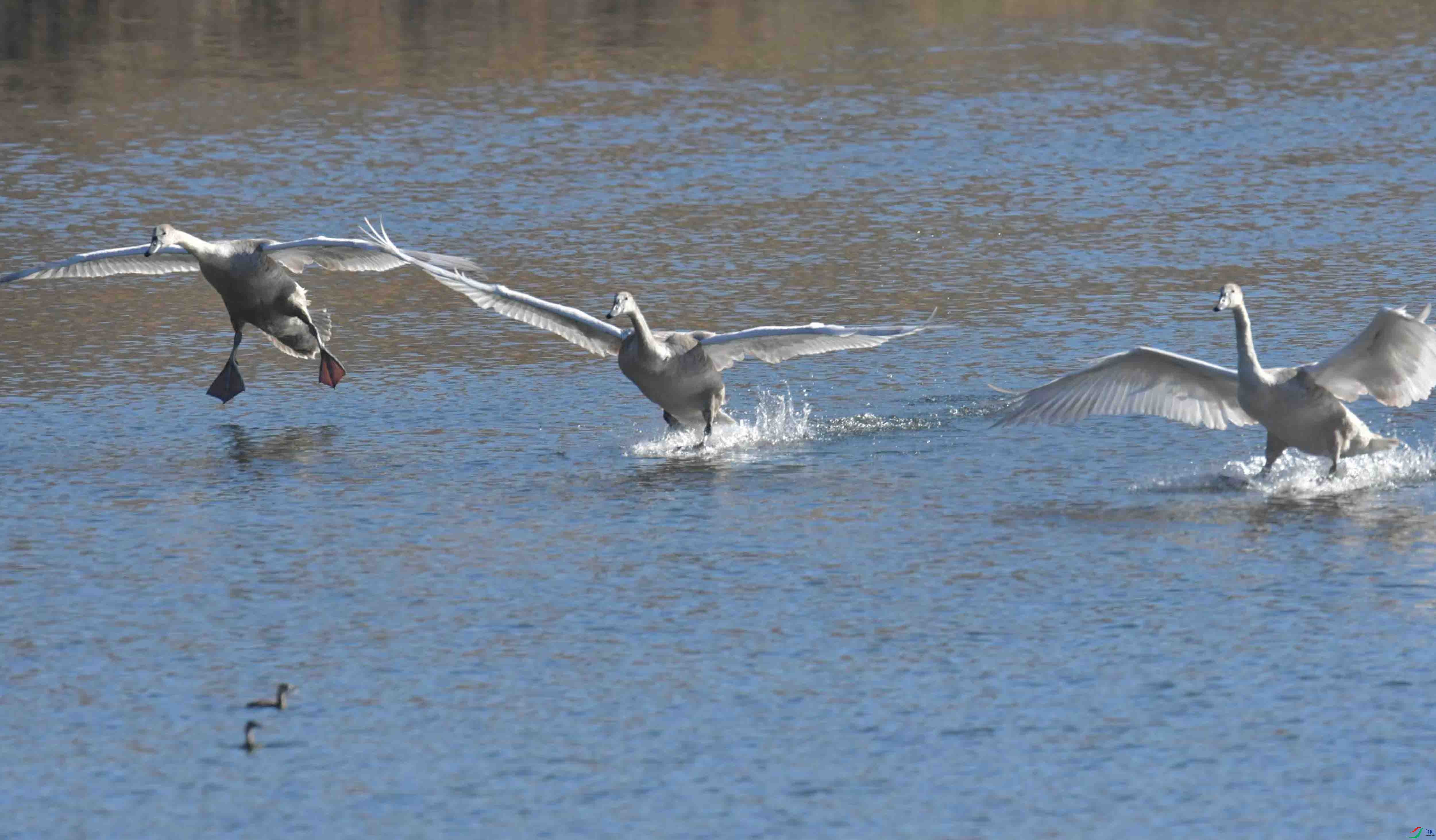 DSC_5416.JPG
