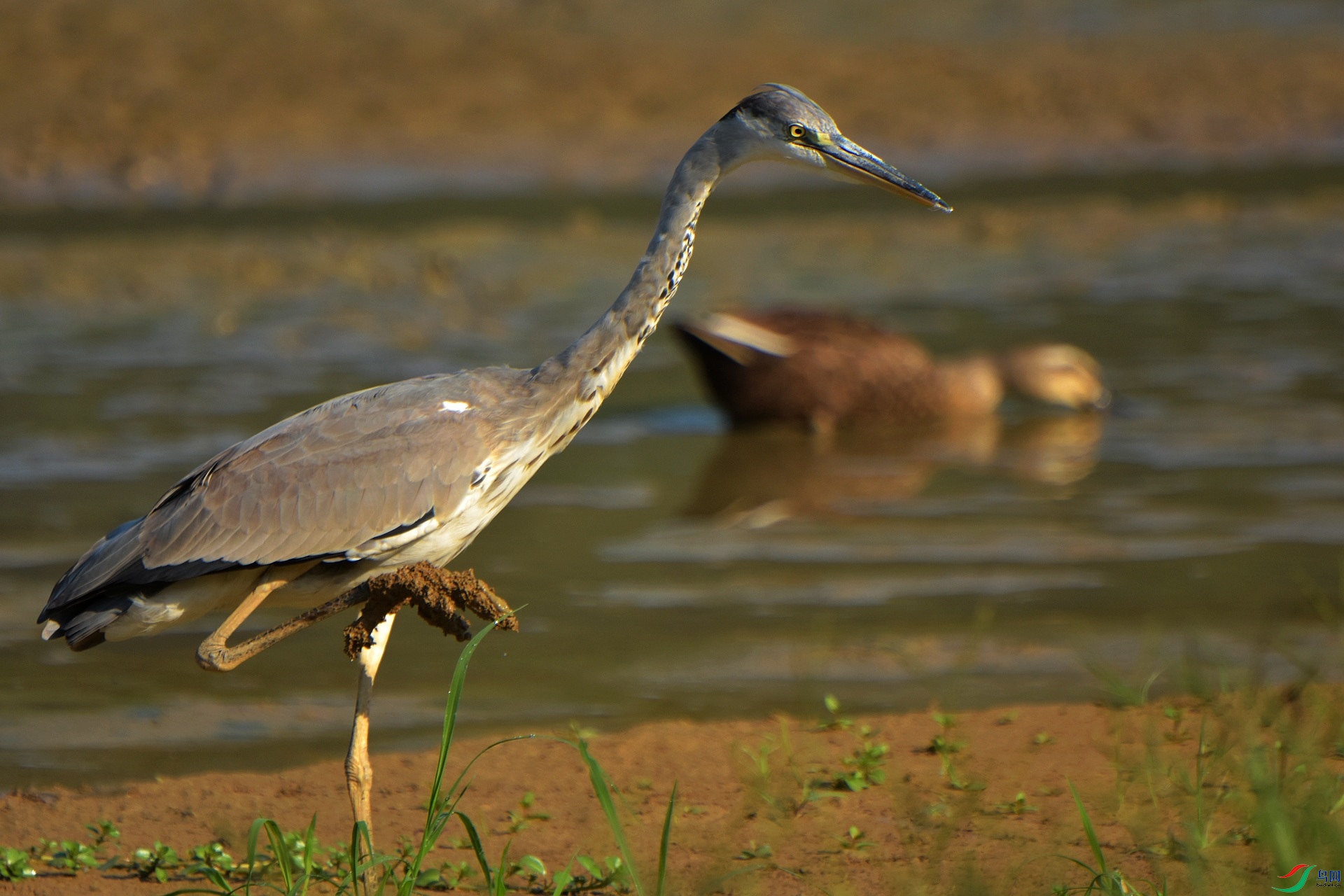 D72_5052.jpg