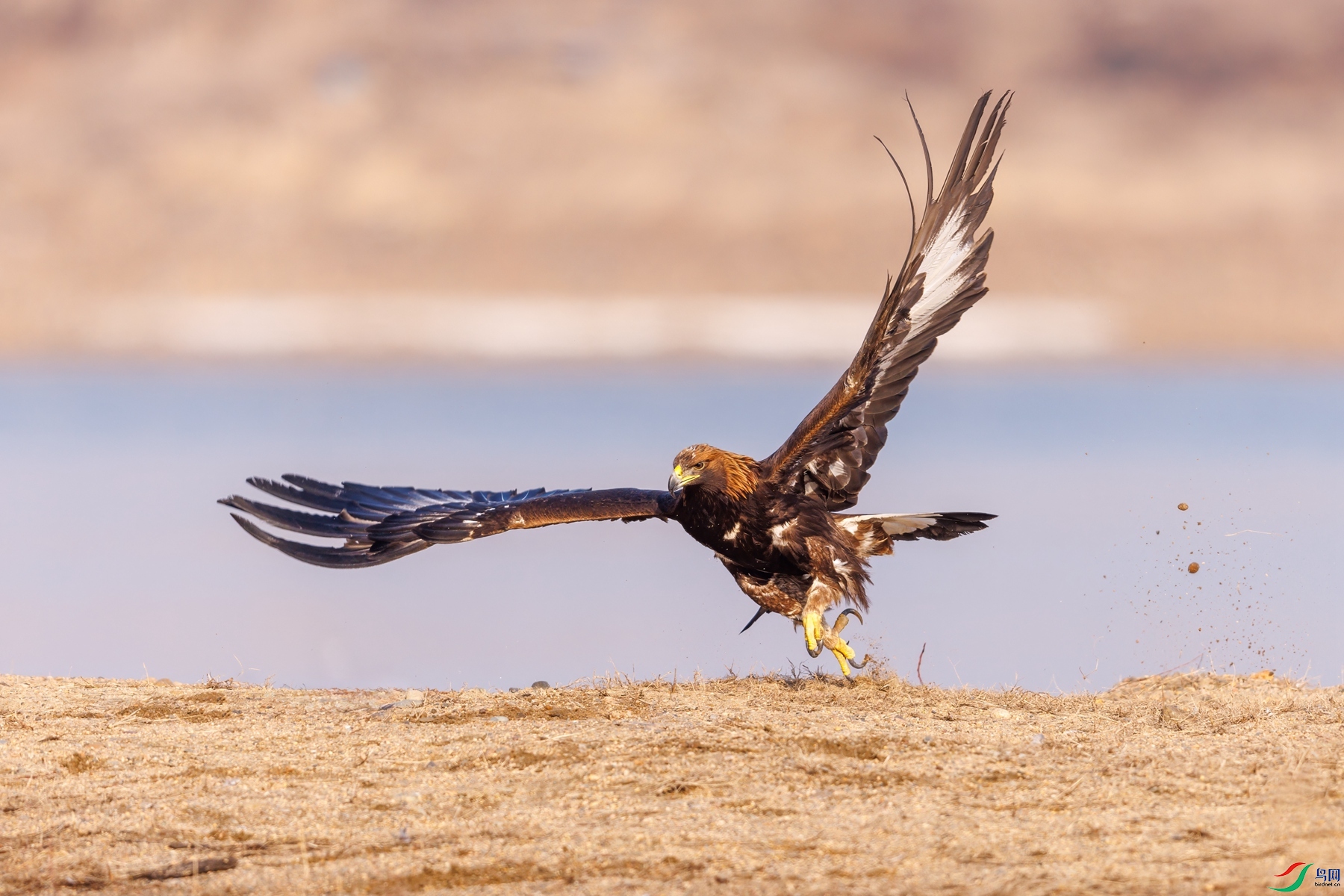 274A2732 ����_����.jpg