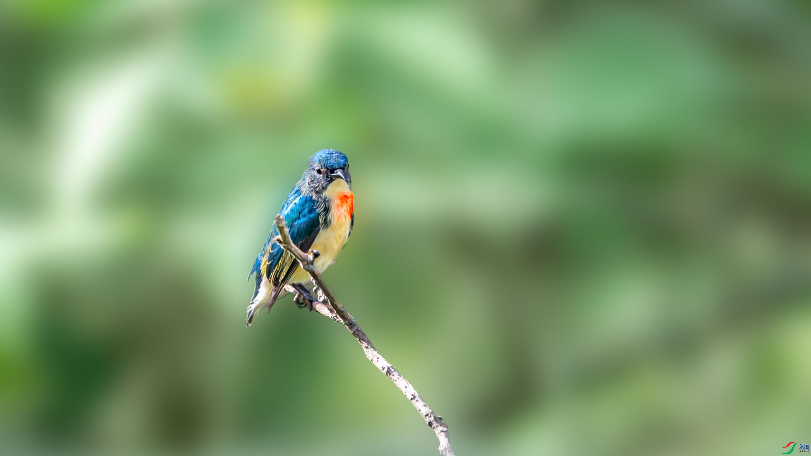 DSC_1767,_1.jpg
