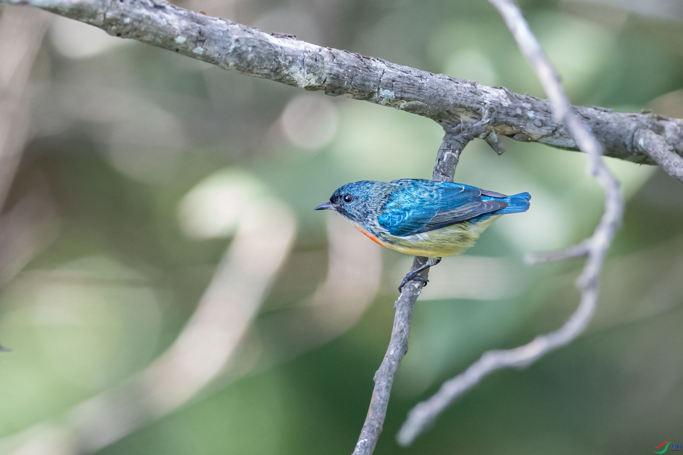 DSC_1659.jpg