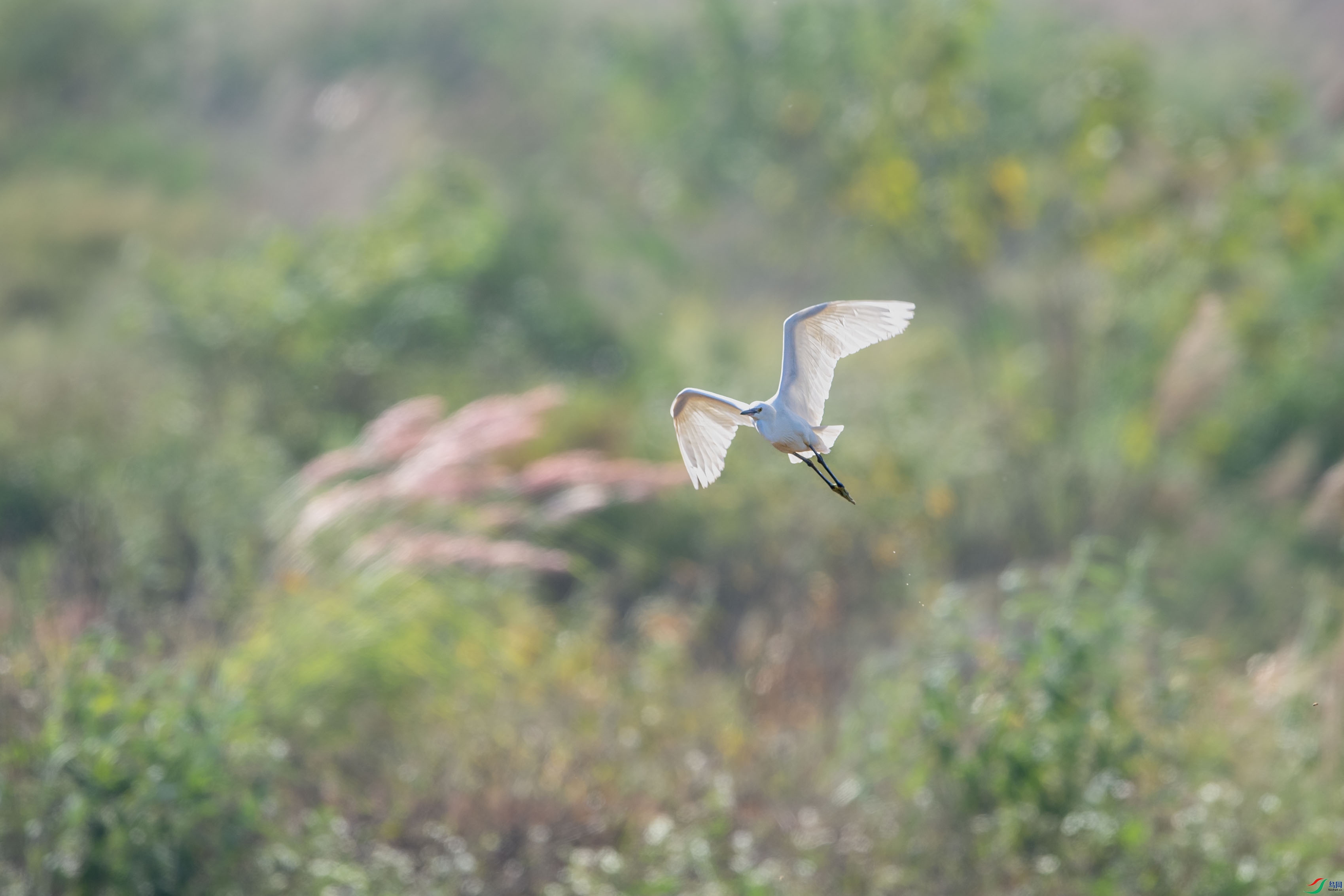 DSC_1068.jpg