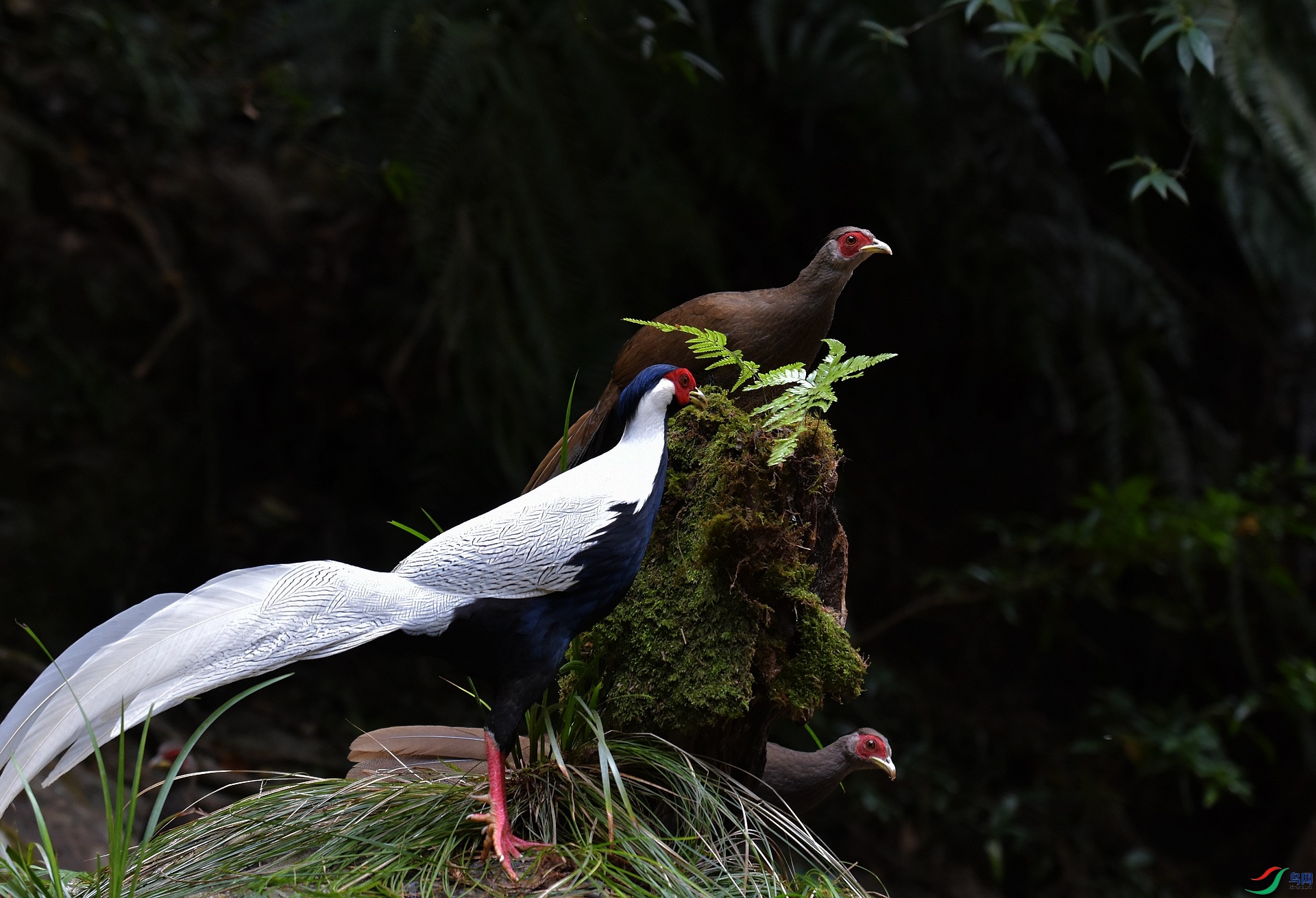 D72_8261.jpg