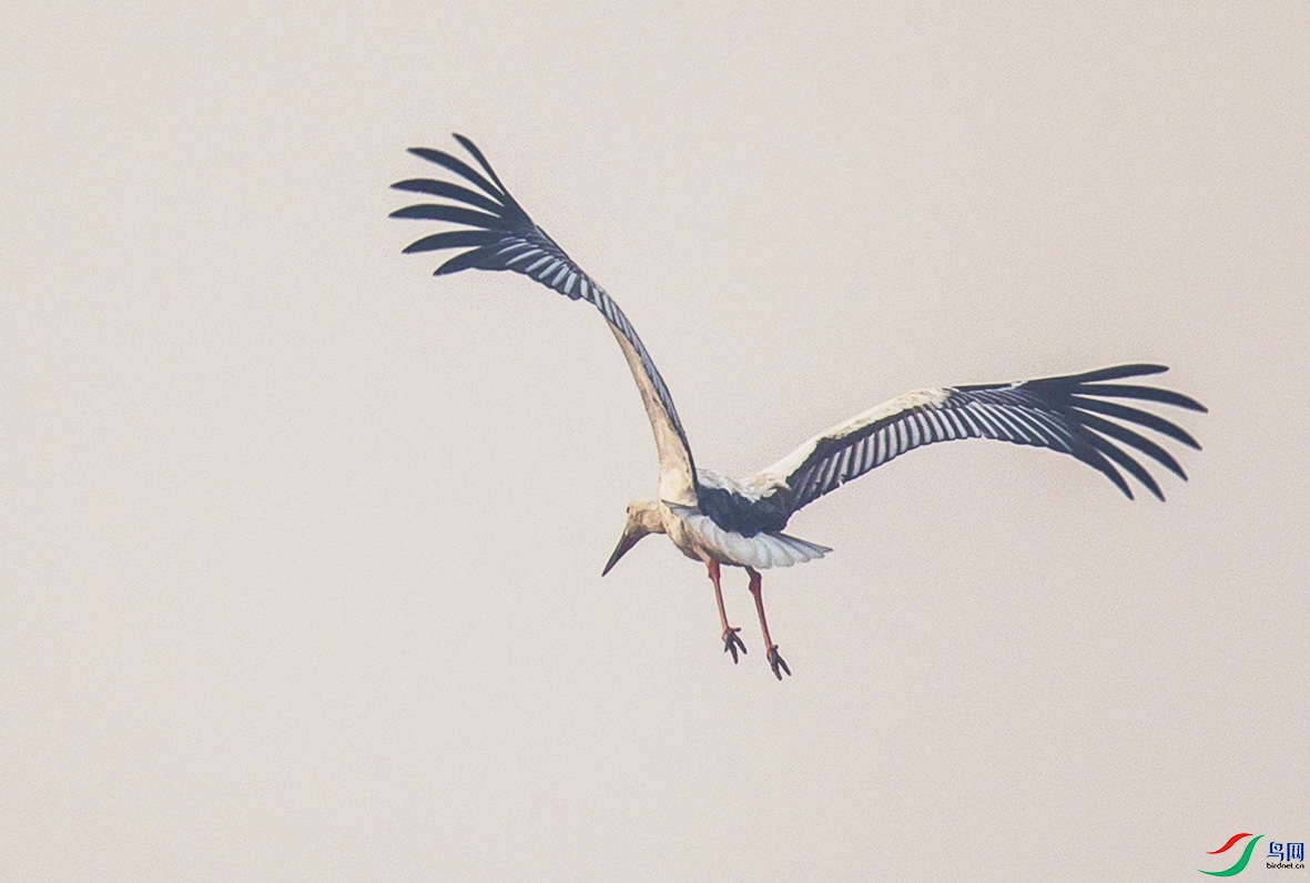 _MG_0153 ���� 2.jpg