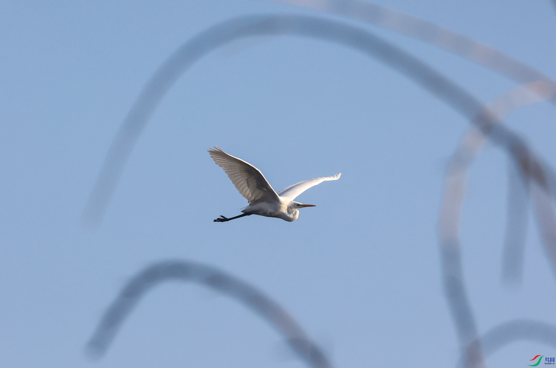 381A8269 - ����.JPG