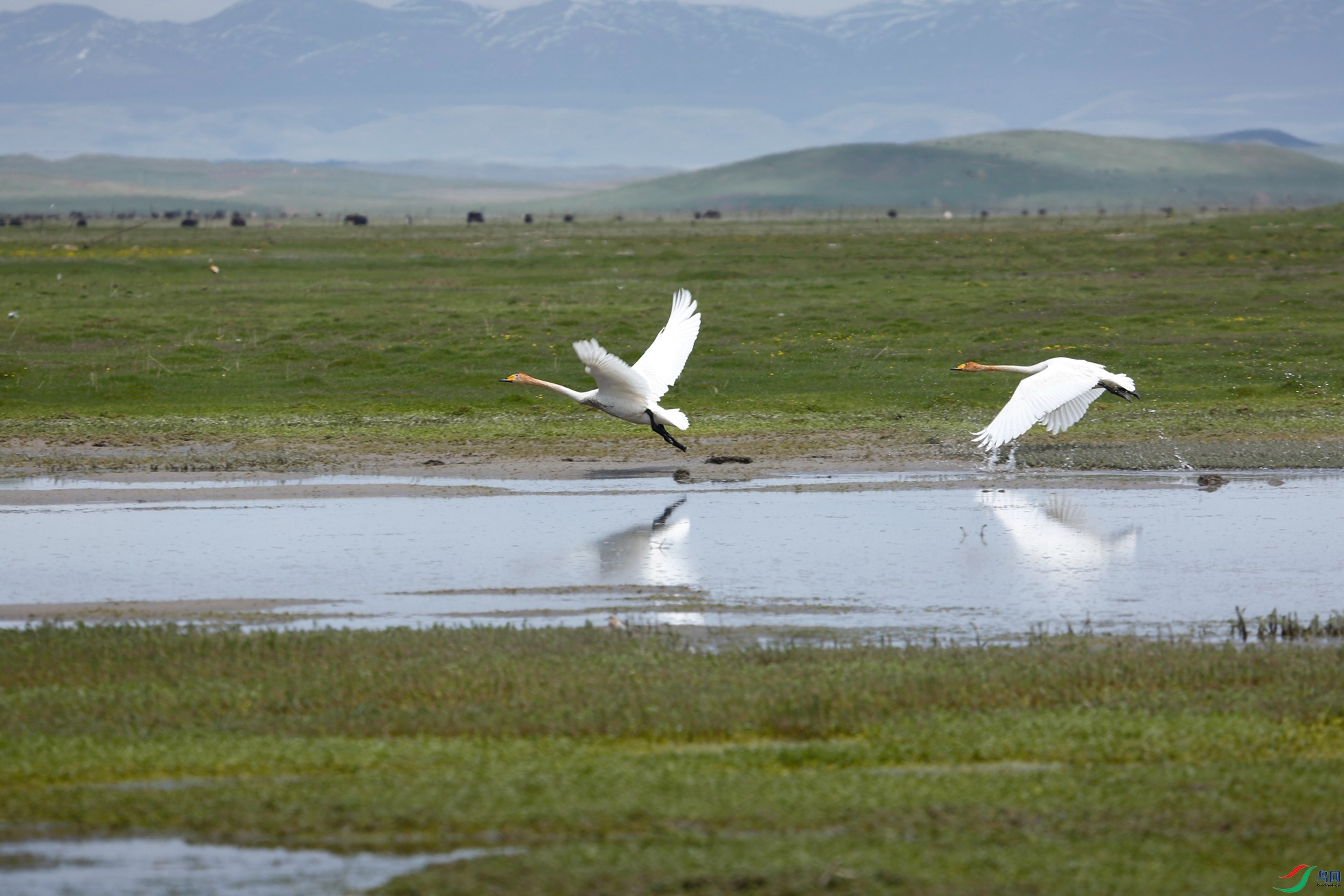 _39A9759 - ����.JPG