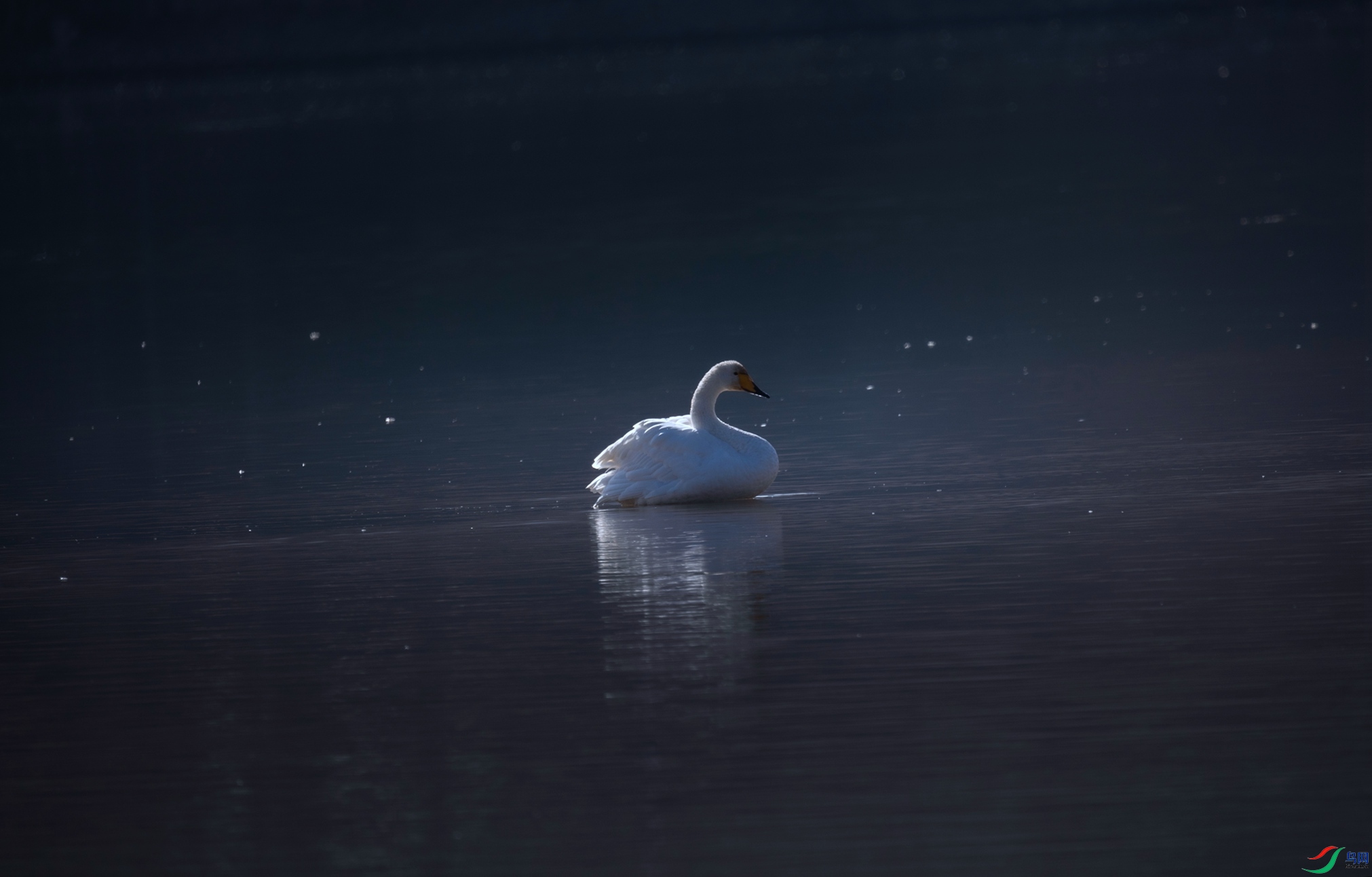 381A8665 - ����.jpg