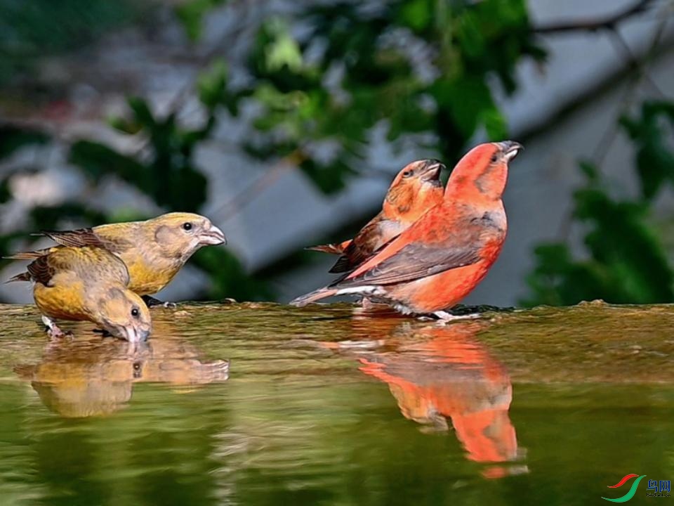 Ư���Ľ���ȸ