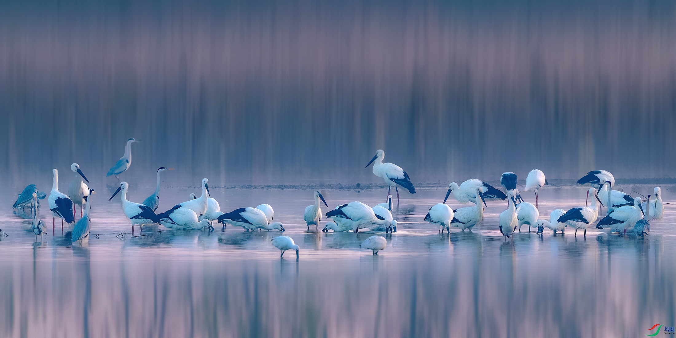 DSC_5327-����ǿ-NR ���� 2.jpg