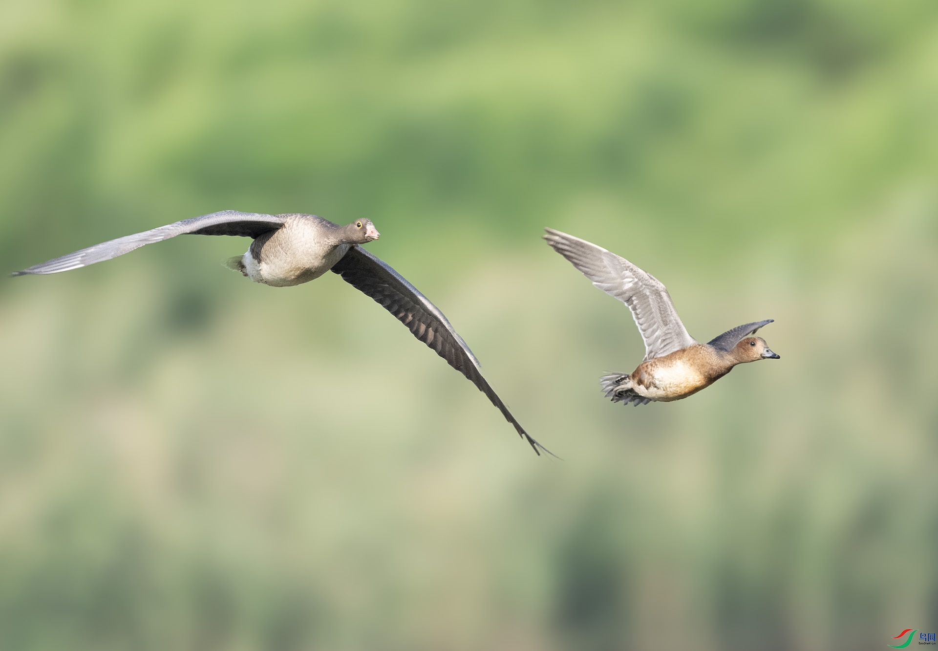 ��DSC_3700 ��ؐ.jpg