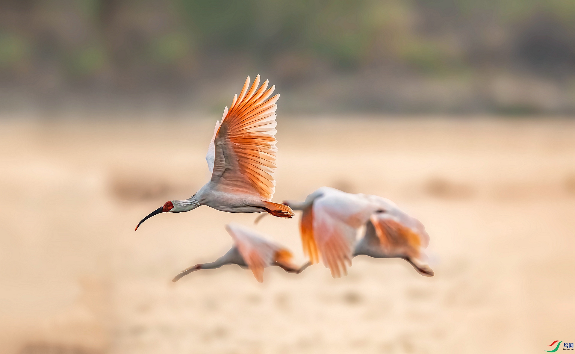 DSC_1443 ����_����.jpg