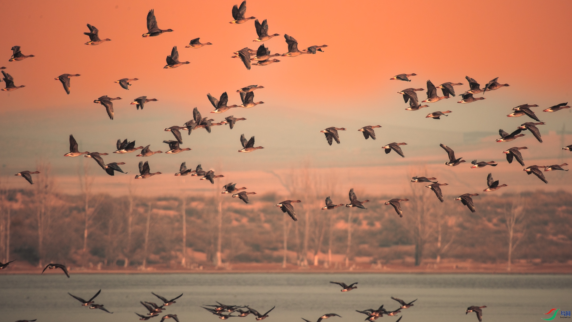 ����ܷ����Ϸ� ����������ǹ��磨�ģ�