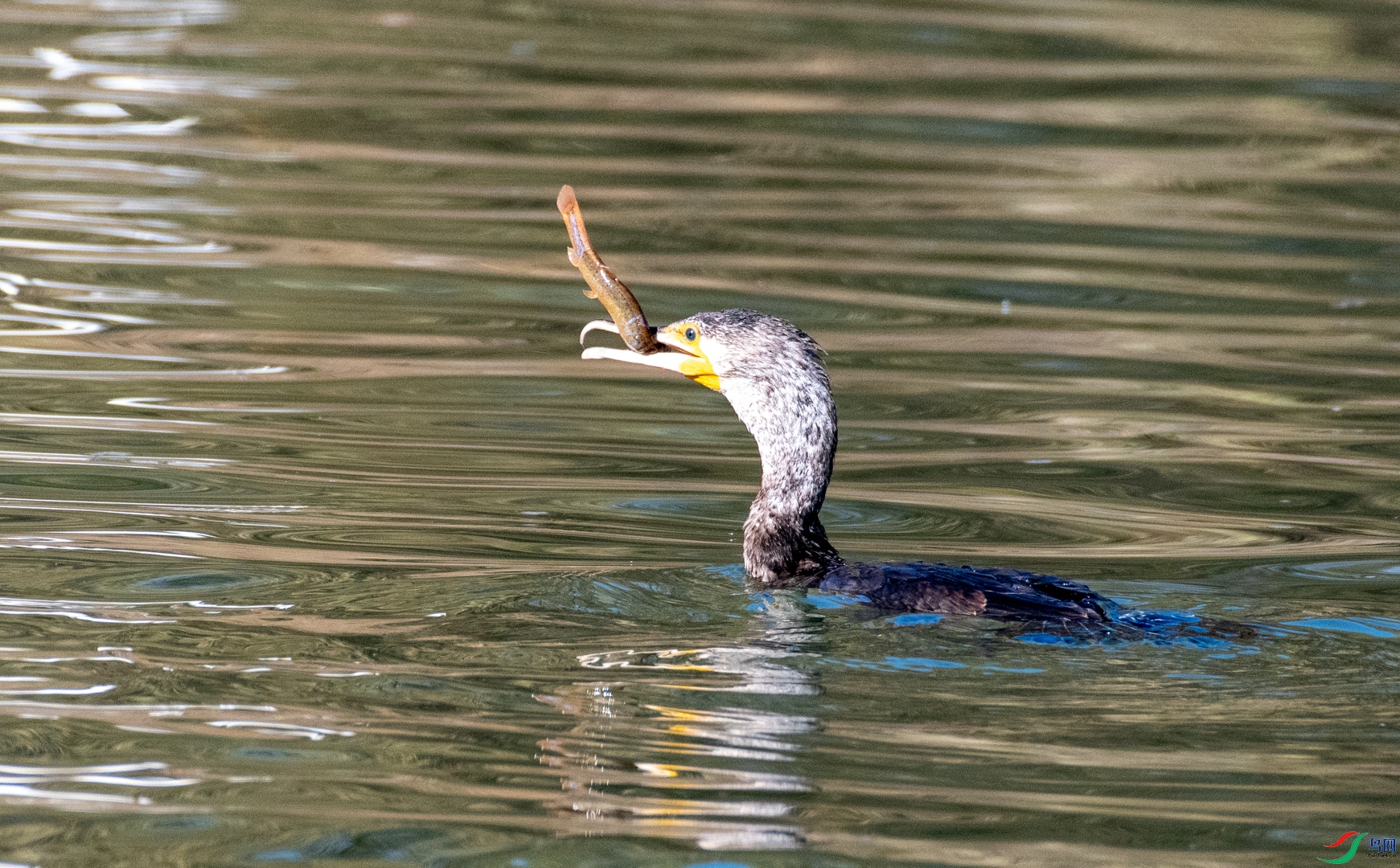 DSC_2106.jpg