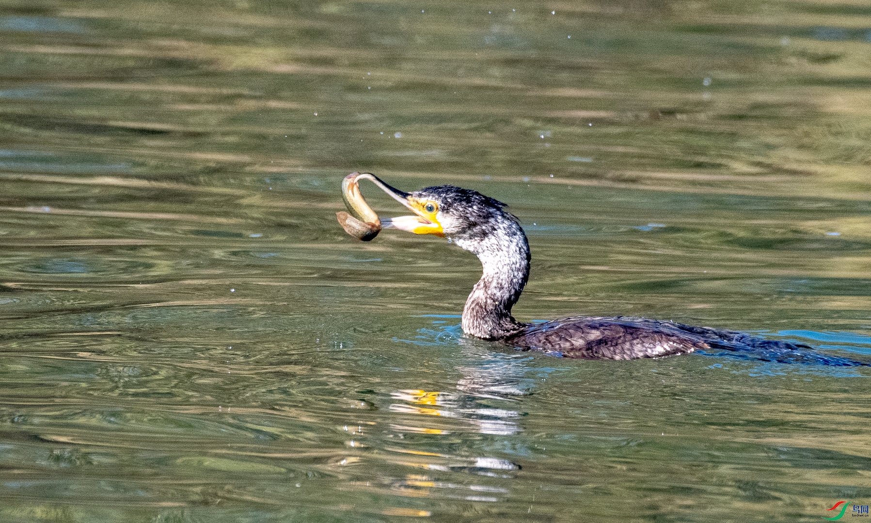 DSC_2128.jpg