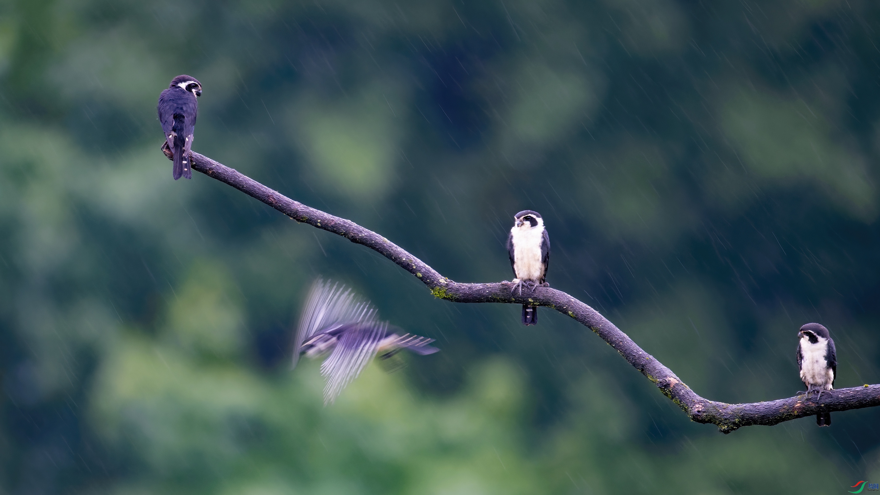 DSC_8385_DxO.jpg