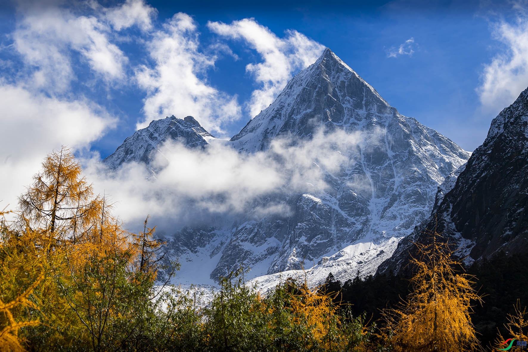 _DSC9615.jpg