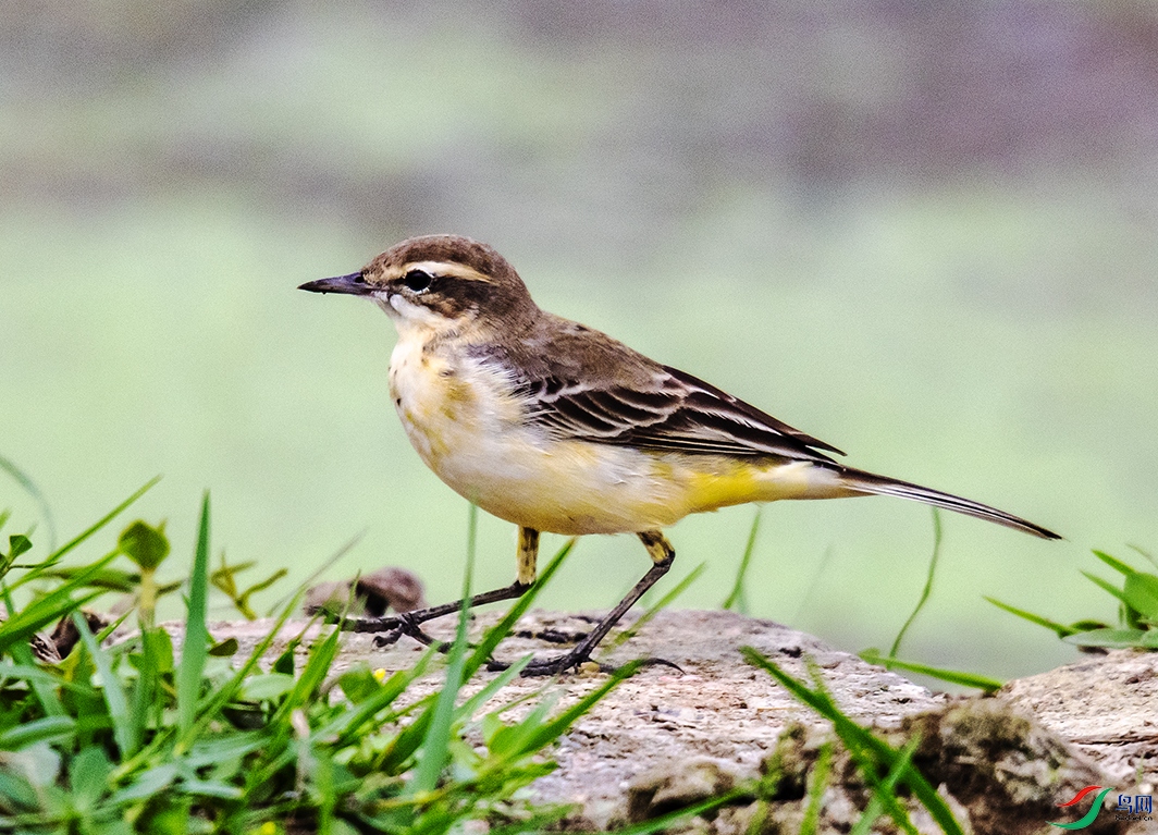 DSC_0158.jpg