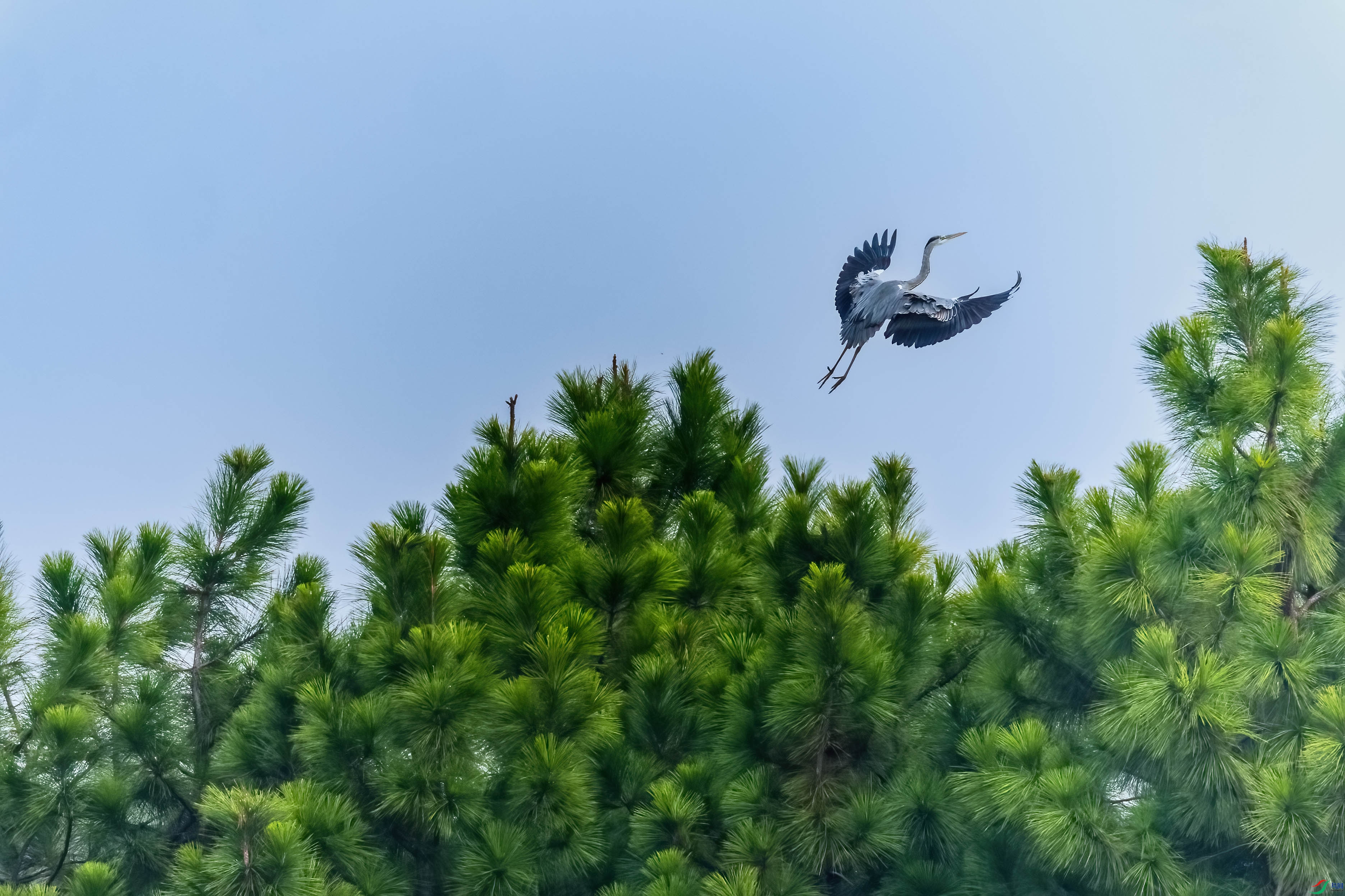 0M3A5887 ����.jpg