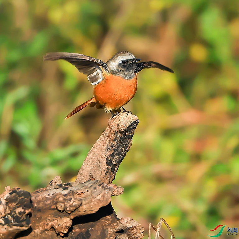 724A2843 ���� 3.jpg